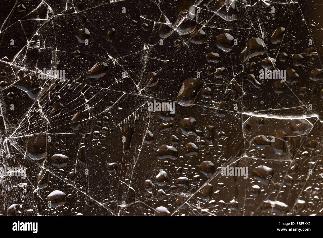 Wasser bedeckt zerbrochenes Glas auf dunklem Hintergrund, nasses Glas in viele Stücke gebrochen, Nahaufnahme Stockfoto