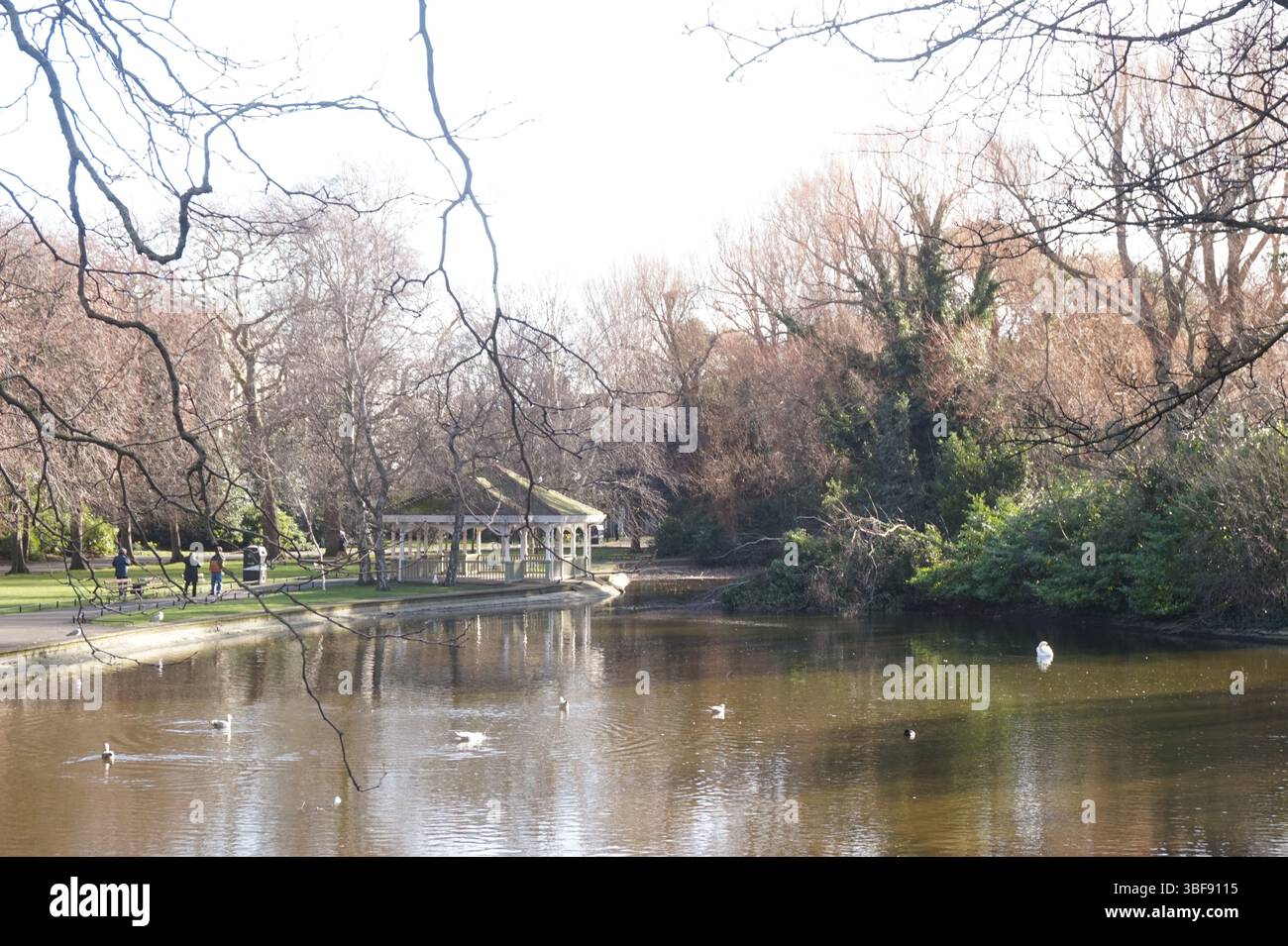 Ziersee im öffentlichen Park St Stephen’s Green, Dublin, Irland Stockfoto