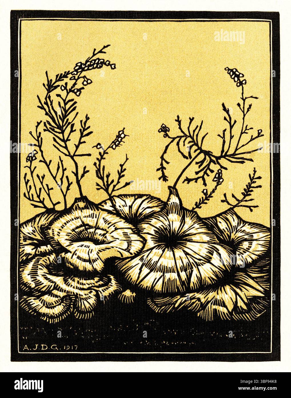 Holzschnitt von Julie de Graag (1917). Botanische Pflanzen im Jugendstil. Rijksmuseum Sammlung. Ideal für Textil-/Wanddekoration. High-Res Public Domain. Stockfoto