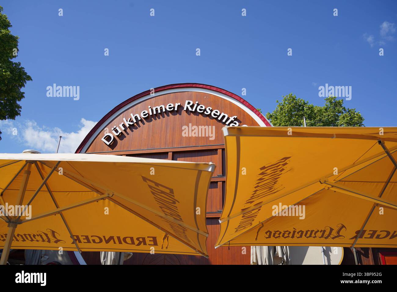 Bad Dürkheim, Rheinland-Pfalz, Deutschland - 30. Mai 2025: Das Dürkheimer Riesenfass in Bad Dürkheim ist das größte Fass der Welt. Heute beherbergt es ein Restaurant und ist Wahrzeichen der Pfalz sowie Touristenmagnet an der Weinstraße *** das Dürkheimer Riesenfass in Bad Dürkheim ist das größte Fass der Welt. Heute beherbergt es ein Restaurant und ist Wahrzeichen der Pfalz sowie Touristenmagnet an der Weinstraße Stockfoto