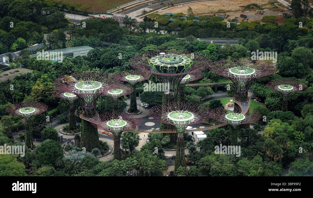 Supertree Grove, Gardens by the Bay, Singapore Supertree Grove at Gardens by the Bay in Singapur verfügt über hoch aufragende, baumähnliche Strukturen, die zwischen 25 und 50 Metern hoch sind. Diese „Superbäume“ bestehen aus Beton und Stahl, sind mit Pflanzen bedeckt und dienen als vertikale Gärten. Der Hain umfasst einen Hängesteg, der den Besuchern einen Panoramablick auf die umliegenden Gärten ermöglicht. Das von Grant Associates entworfene und 2012 eröffnete Supertree Grove verbindet modernste Architektur mit nachhaltigem, umweltfreundlichem Design. Stockfoto