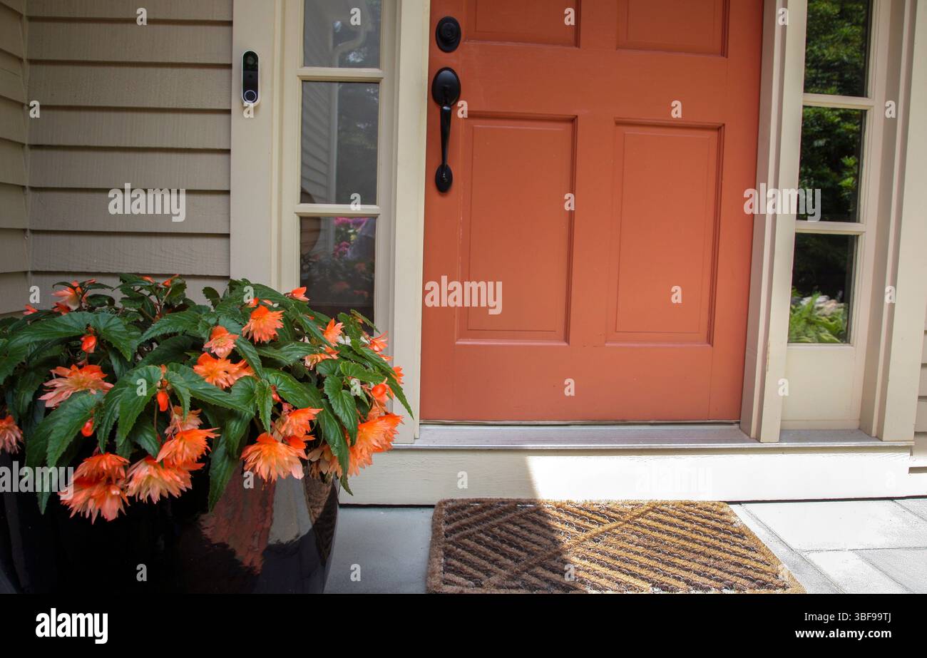 Orange Door & Orange Begonia in Pflanzblume kreatives Dekor, Gartentour, passende Farben, Cape Cod, Massachusetts, USA USA Stockfoto