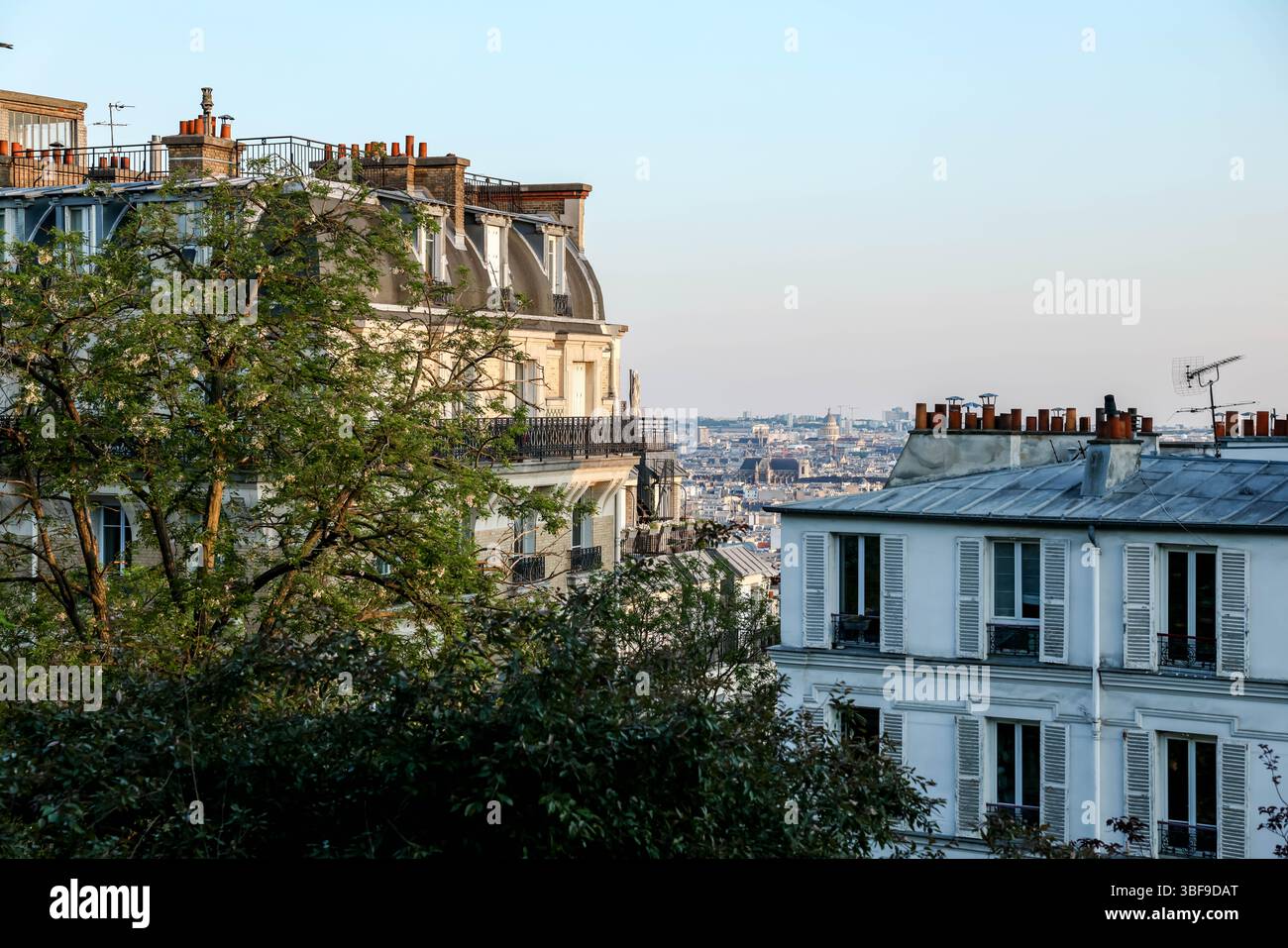 Ein genauerer Blick auf typische Pariser Apartmenthäuser mit unverwechselbaren Dächern, Schornsteinen und Antennen, die über den Wipfeln grüner Bäume zu sehen sind. Stockfoto