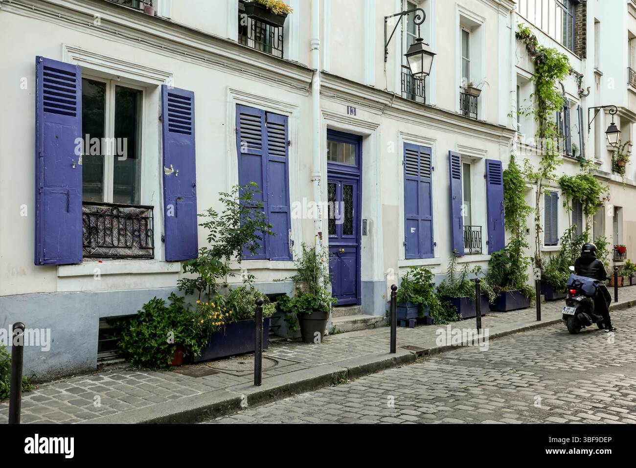 Eine typische Pariser Straßenszene mit klassischer Architektur mit markanten, leuchtend violetten Fensterläden, Topfpflanzen und einem malerischen Pflaster Stockfoto