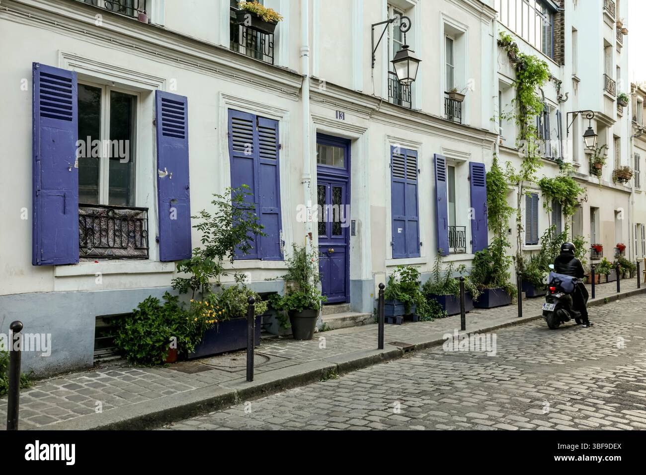 Eine typische Pariser Straßenszene mit klassischer Architektur mit markanten, leuchtend violetten Fensterläden, Topfpflanzen und einem malerischen Pflaster Stockfoto
