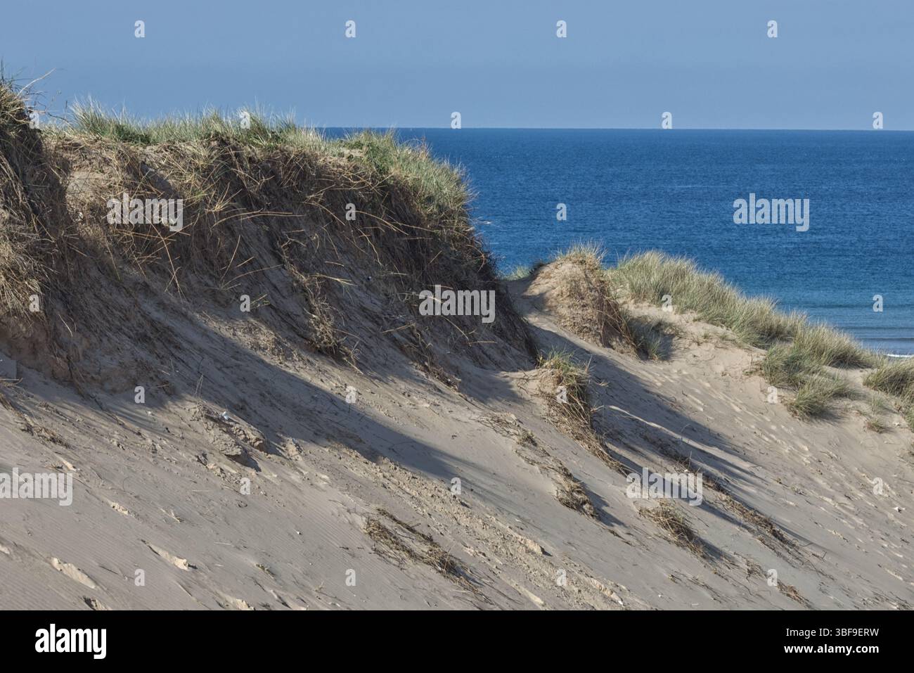 Sanddünen an einem walisischen Strand Stockfoto