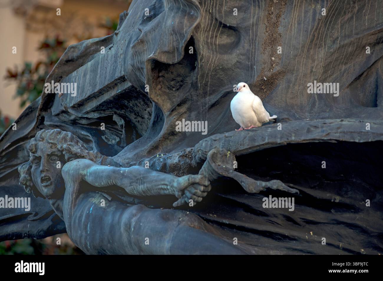 Detail der weißen Taube, die auf dem Bronzemonument des Schweizer Politikers Carlo Battaglini (1812–1888) sitzt. Piazza Carlo Battaglini, Lugano, Schweiz. Die Bronzeskulptur wurde im Jugendstil von dem Künstler Luca Vassalli gefertigt und 1921 enthüllt. Stockfoto