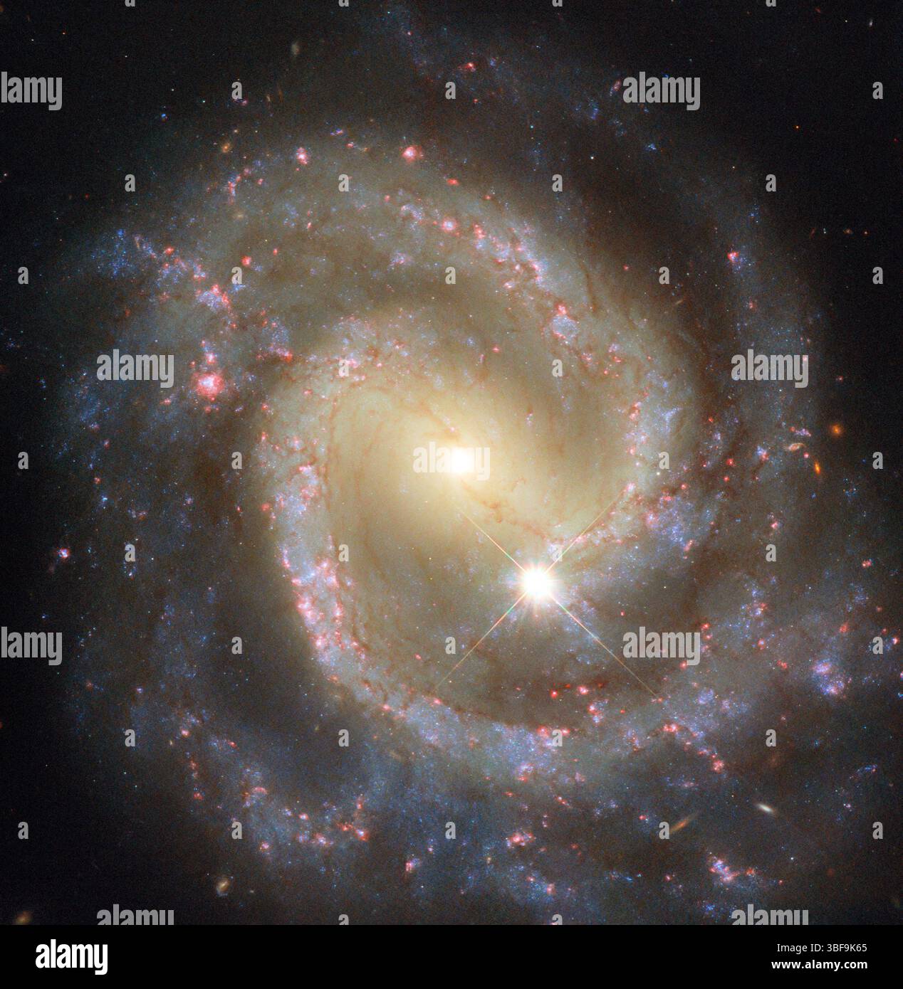 Dieses optimierte Hubble-Bild zeigt NGC 3507, eine versperrte Spiralgalaxie in 46 Millionen Lichtjahren Entfernung in Leo. Obwohl sie allein abgebildet ist, ist sie Teil eines Paares mit NGC 3501, das sich außerhalb des Rahmens befindet. Die Arme des NGC 3507 winden sich von einem zentralen Balken, glühen von blauen Sternen, rosa sternbildenden Regionen und dunklen Staubspuren. Ein heller Vorderstern aus unserer Milchstraße liegt ganz in der Nähe. Im Hintergrund erscheinen ferne Galaxien als kleine gelbe oder orangene Flecken, die einen Einblick in das frühe Universum bieten. Quelle: ESA/Hubble & NASA, D. Thilker Stockfoto