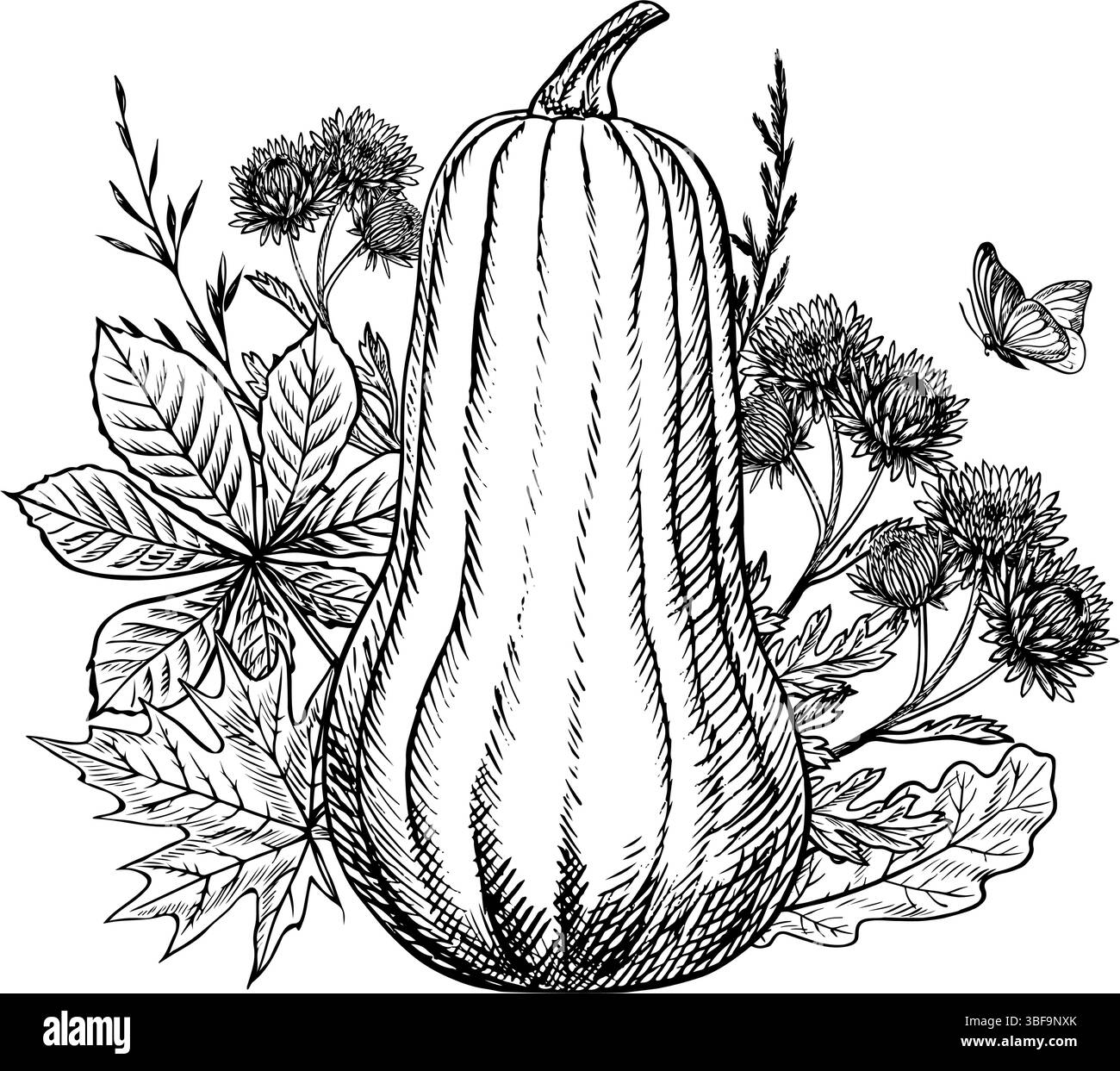 Herbstkomposition mit Kürbis und Pflanzenelementen. Vektorgrafiken. Handgezeichnete Schwarzweiß-Illustration. Für Gruß- und Einladungskarten Stock Vektor