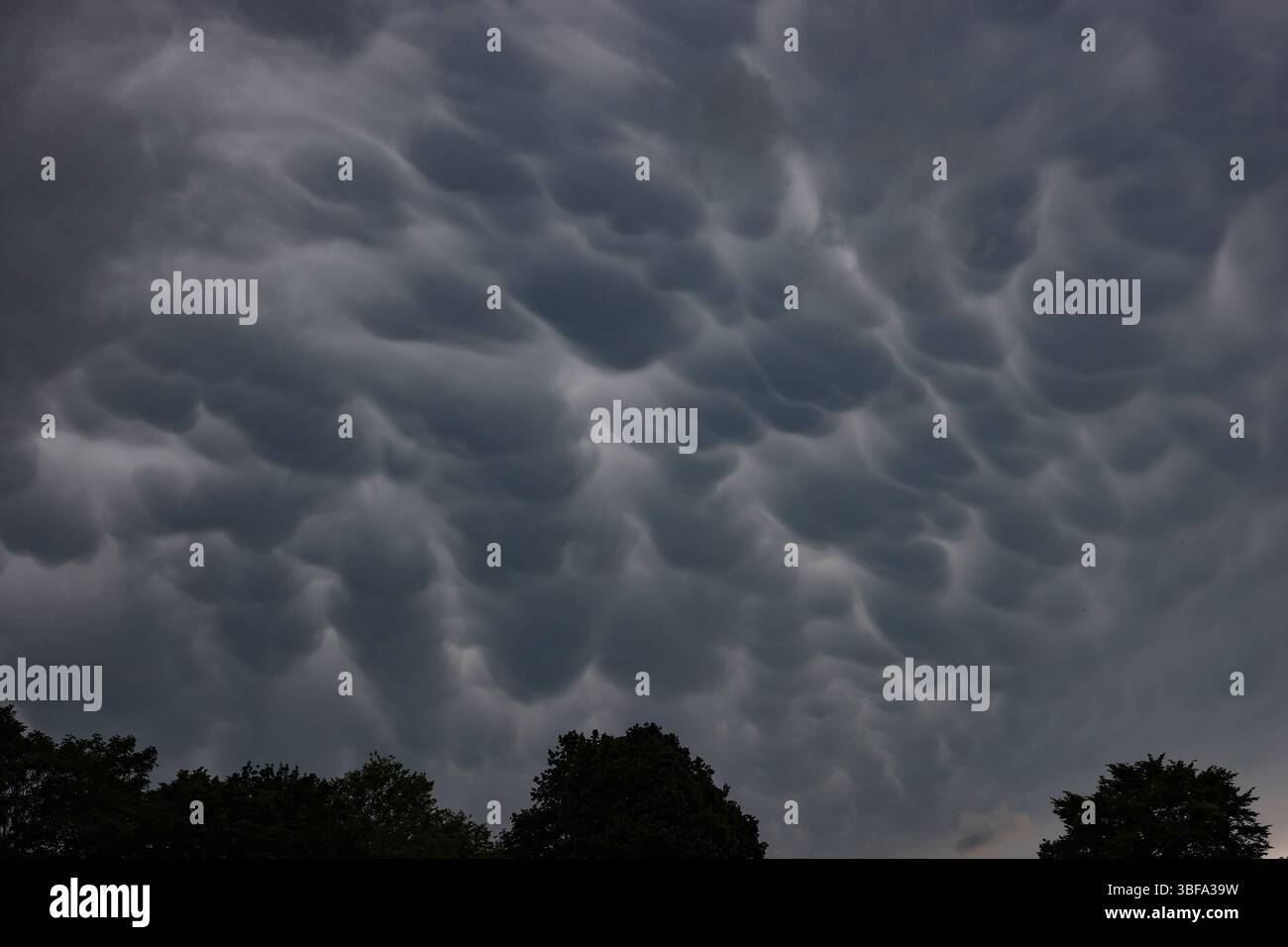Am Nachmittag kommt es zu Regen im Siegerland. Mammatus-Wolken am Himmel ueber über Siegen. Im Vordergrund stehen Baeume Bäume. Fruehling Frühling im Siegerland am 31.05.2025 in Siegen/Deutschland. *** Nachmittags kommt es zu Regen im Siegerland Mamma Wolken am Himmel über Siegen im Vordergrund stehen Bäume Bäume Frühling im Siegerland am 31 05 2025 in Siegen Deutschland Stockfoto