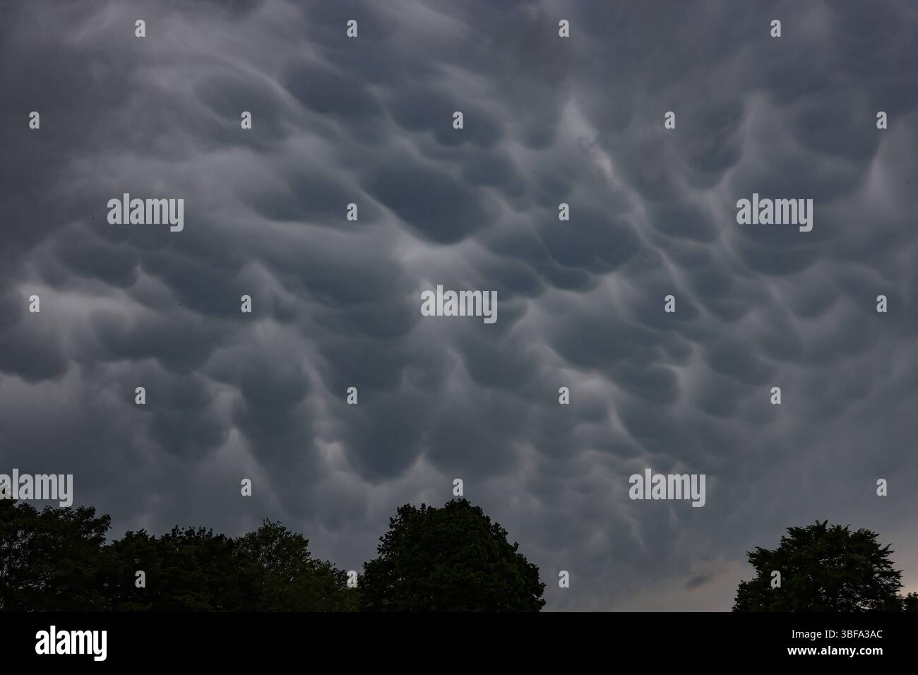 Am Nachmittag kommt es zu Regen im Siegerland. Mammatus-Wolken am Himmel ueber über Siegen. Im Vordergrund stehen Baeume Bäume. Fruehling Frühling im Siegerland am 31.05.2025 in Siegen/Deutschland. *** Nachmittags kommt es zu Regen im Siegerland Mamma Wolken am Himmel über Siegen im Vordergrund stehen Bäume Bäume Frühling im Siegerland am 31 05 2025 in Siegen Deutschland Stockfoto