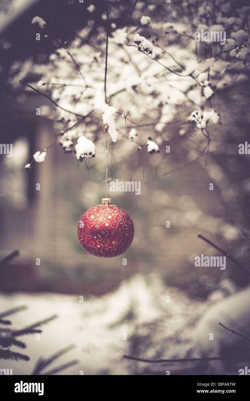 Weihnachtskugel auf einem Baumzweig in einem verschneiten Garten Stockfoto