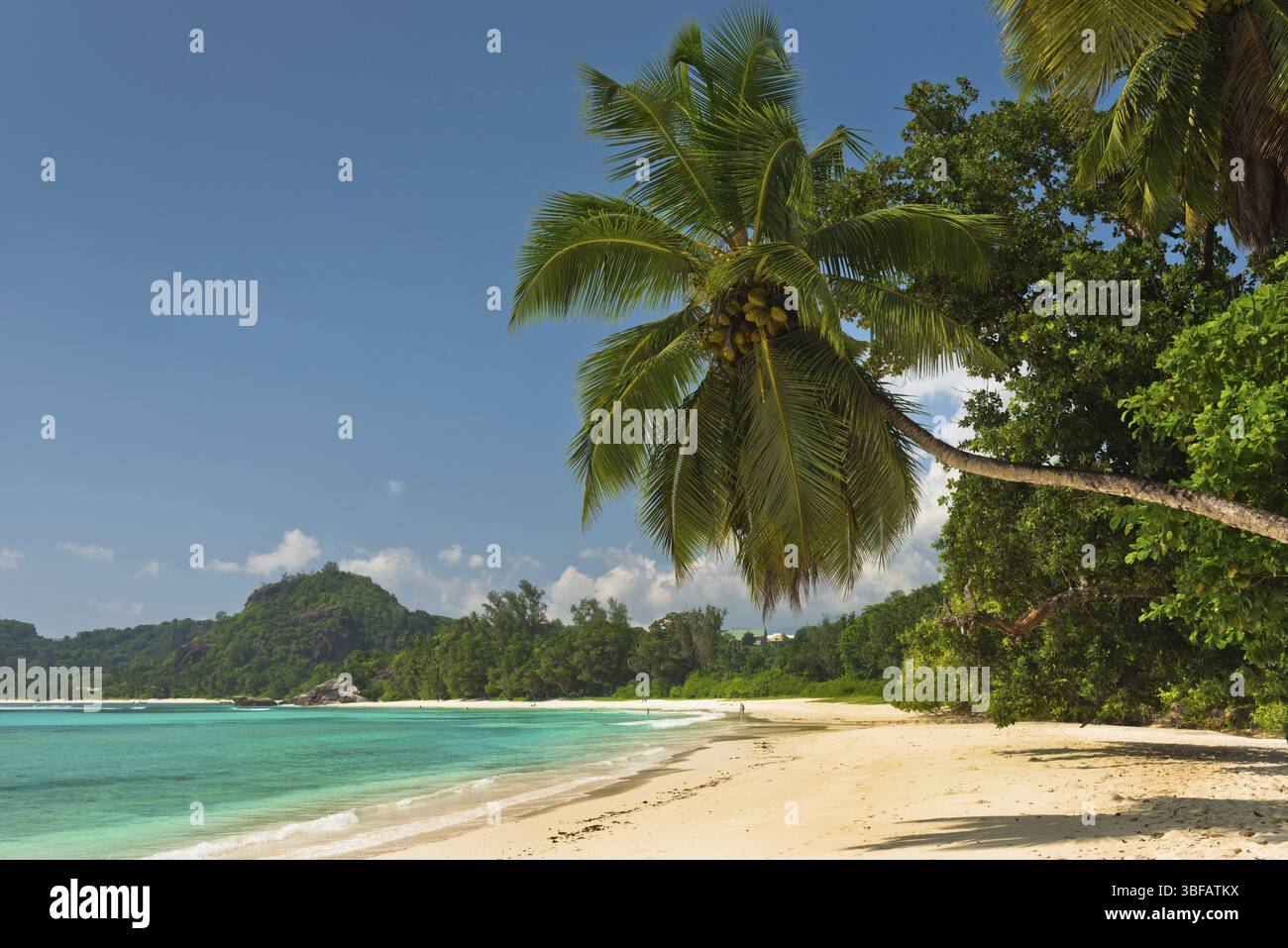 Tropischer Strand auf Mahe Island Seychellen. Horizontalen Schuss Stockfoto
