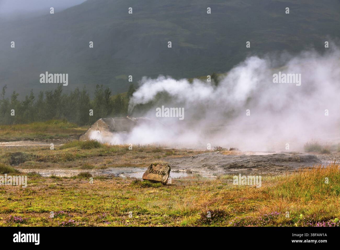 Island: Smidur Geysir im Tal der Geysire Stockfoto