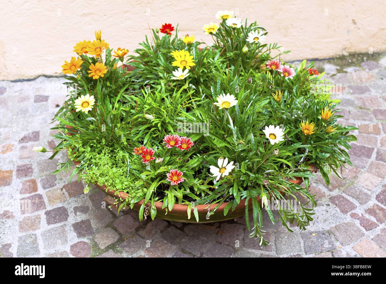 Buntes Blumenbeet auf einer Straße. Horizontale Aufnahme Stockfoto