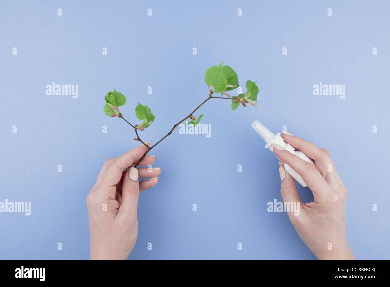Kreative flach Konzept der saisonale Frühling Pollenallergie mit Tropfen in einer Flasche in eine weibliche Hände und frisches Grün sprießt mit Knospen mit Kopie Raum Stockfoto