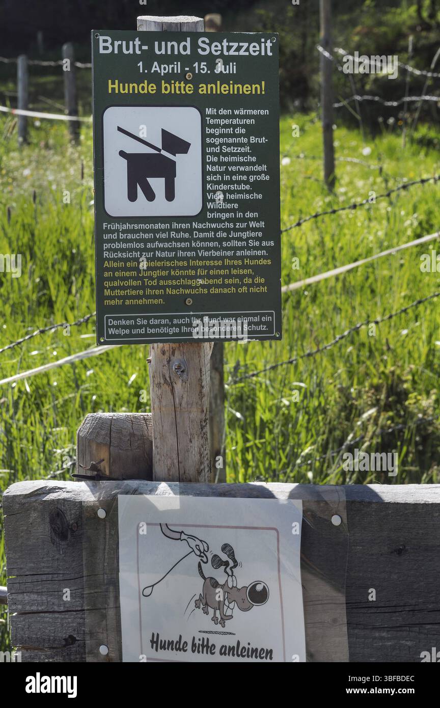 Hinweisschild, Zucht- und Setzsaison, bitte Hunde an der Leine halten, Allgäu, Schwaben, Bayern, Deutschland, Europa Stockfoto