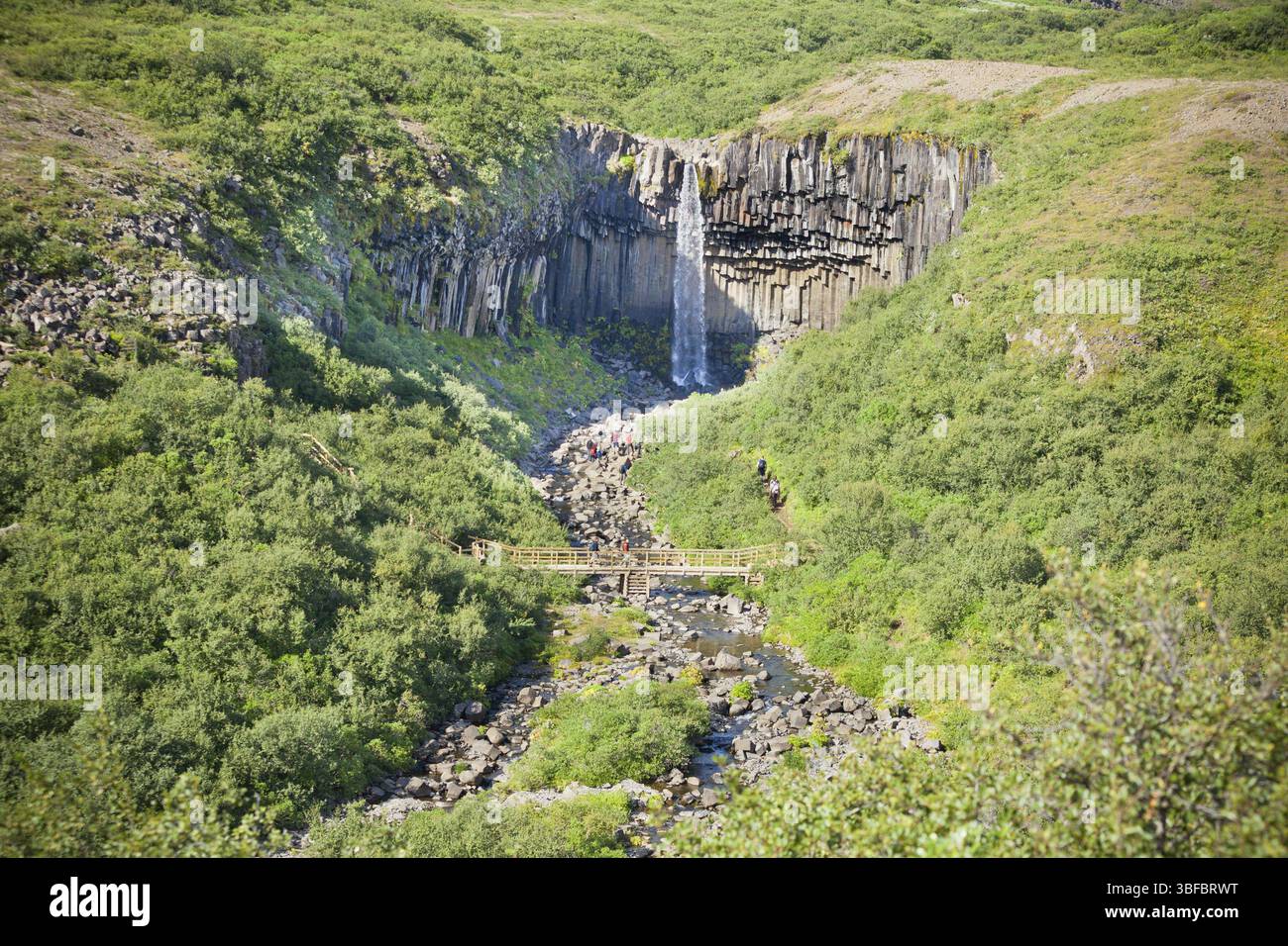 Wasserfall Svartifoss in Island, Nationalpark Skaftafell Stockfoto