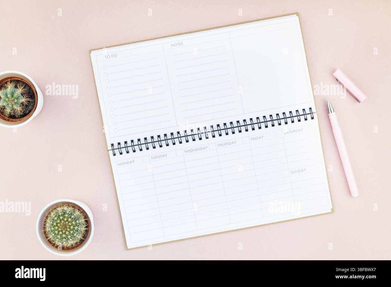 Ansicht von oben flach von Arbeitsbereich Schreibtisch gestalteten Design Büromaterial und Kakteen Sukkulenten mit Kopie Raum tausendjährigen rosa Farbe Papier Hintergrund minderen Stockfoto