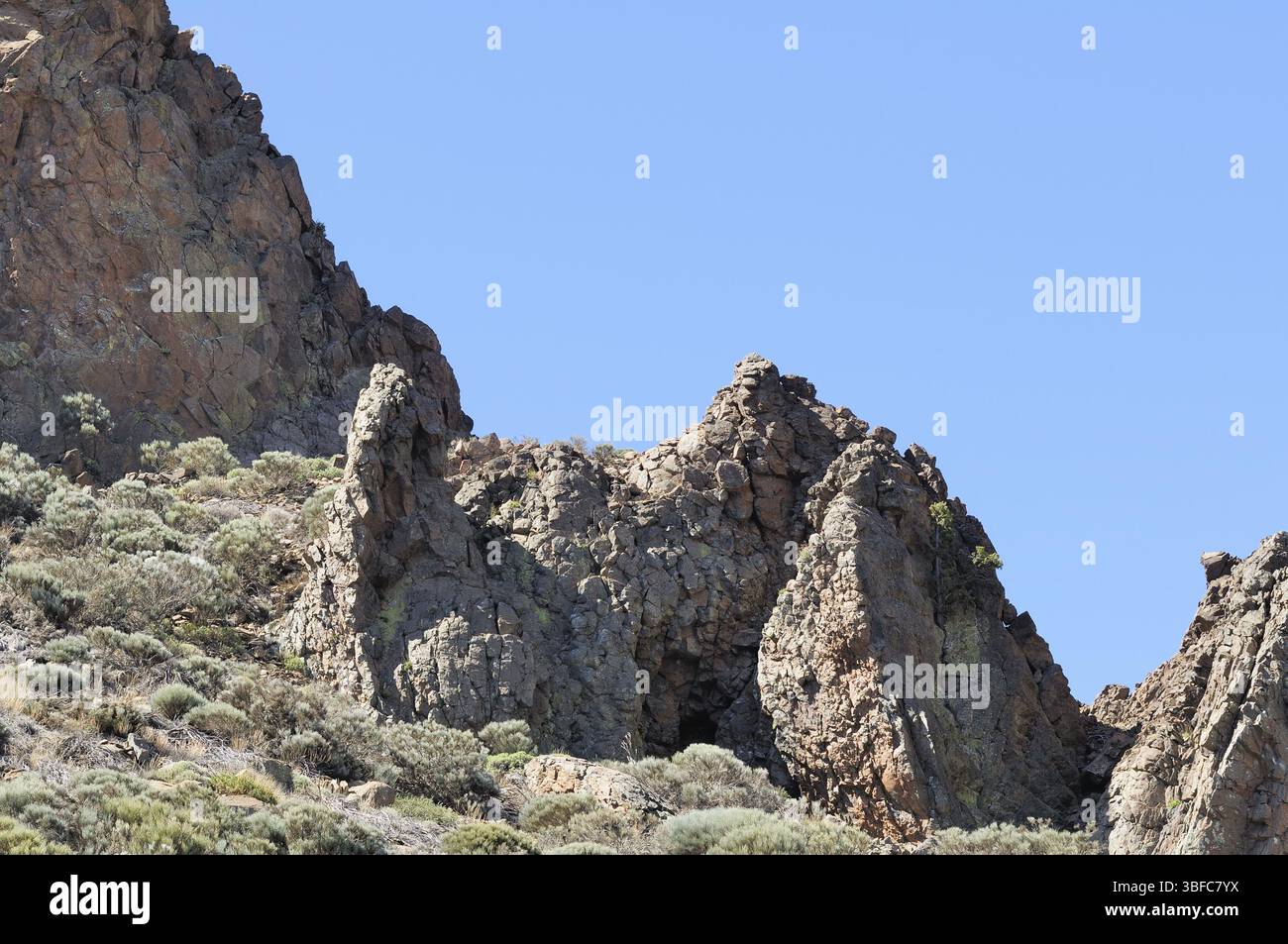 Teneriffa (teneriffa) Stockfoto