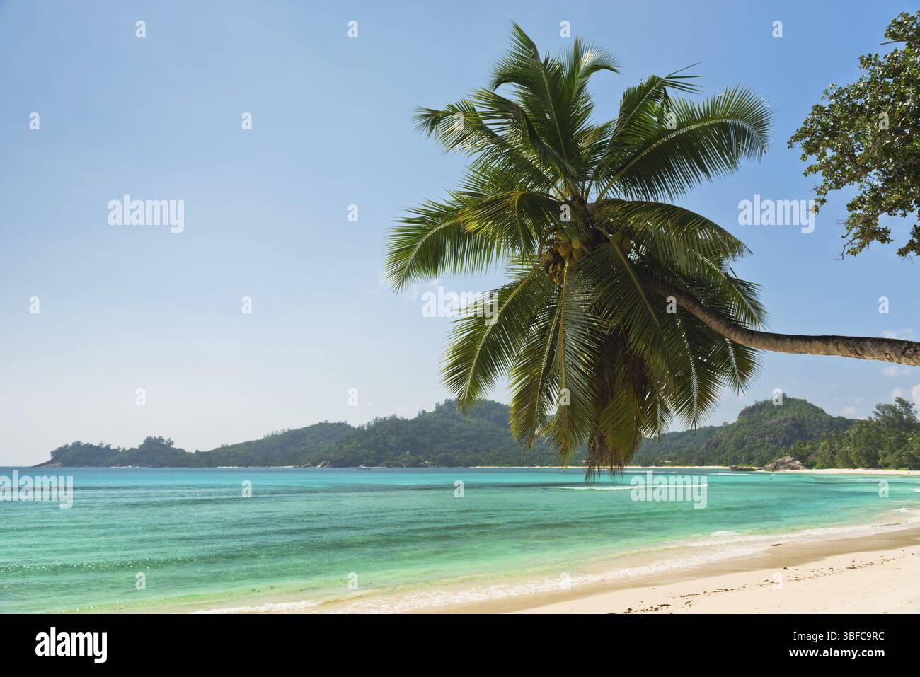 Tropischer Strand auf Mahe Island Seychellen. Horizontalen Schuss Stockfoto