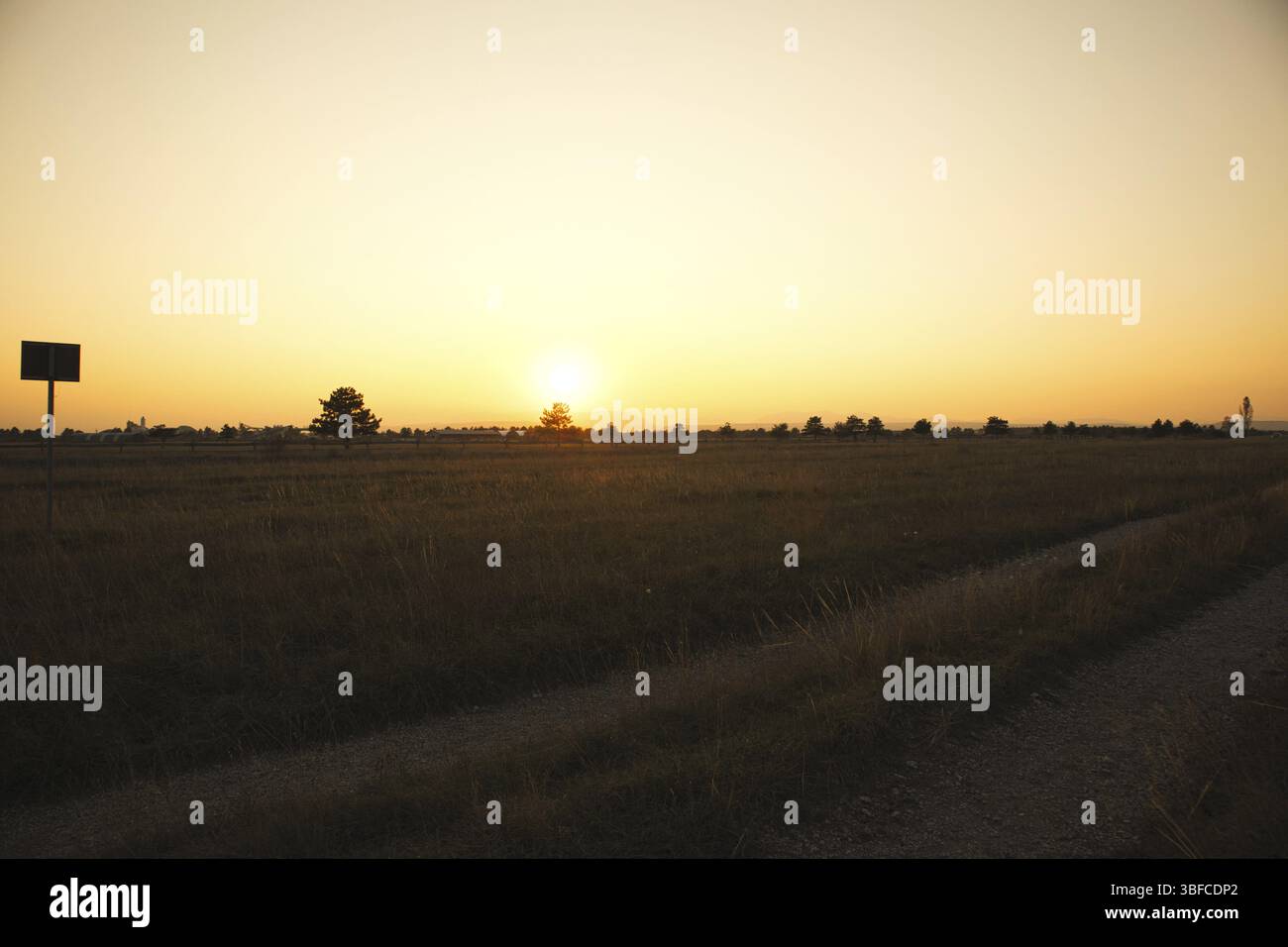 Sonnenuntergang auf einem großen Feld mit Bäumen im Dunkeln Stockfoto