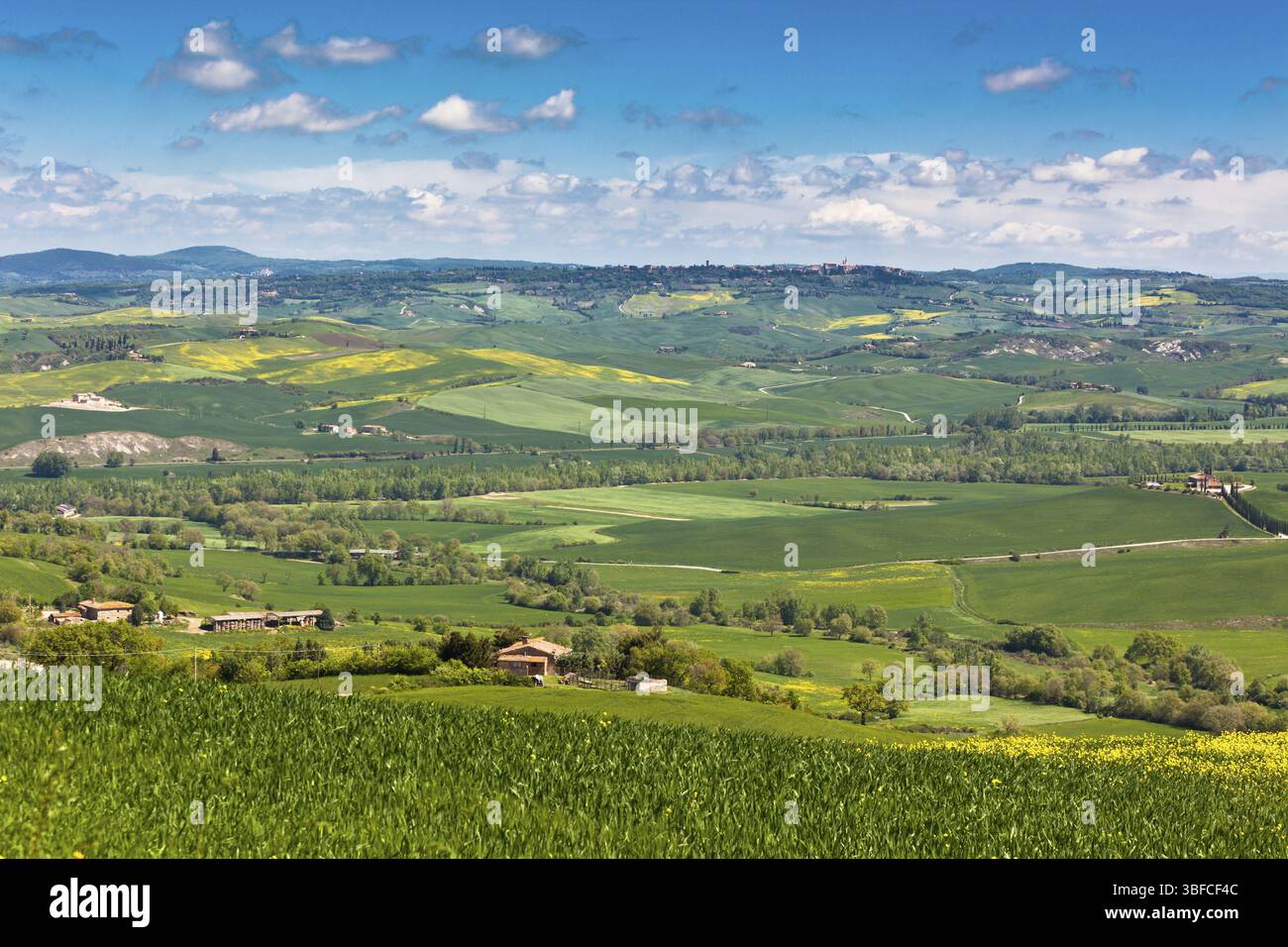 Im freien grünen Hügeln der Toskana Landschaft. Horizontalen Schuss Stockfoto