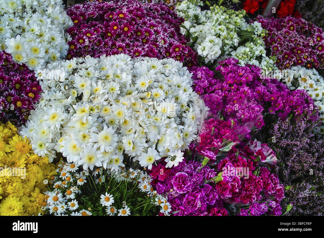 TAKSIM - ORT DER BLUMEN Stockfoto