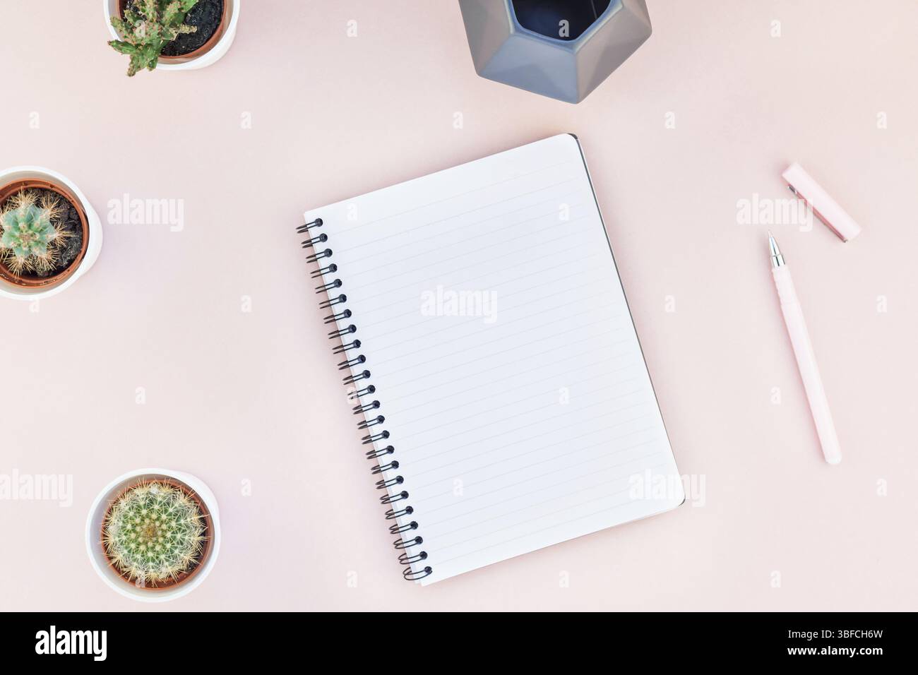 Ansicht von oben flach von Arbeitsbereich Schreibtisch gestalteten Design Büromaterial und Kakteen Sukkulenten mit Kopie Raum tausendjährigen rosa Farbe Papier Hintergrund minderen Stockfoto