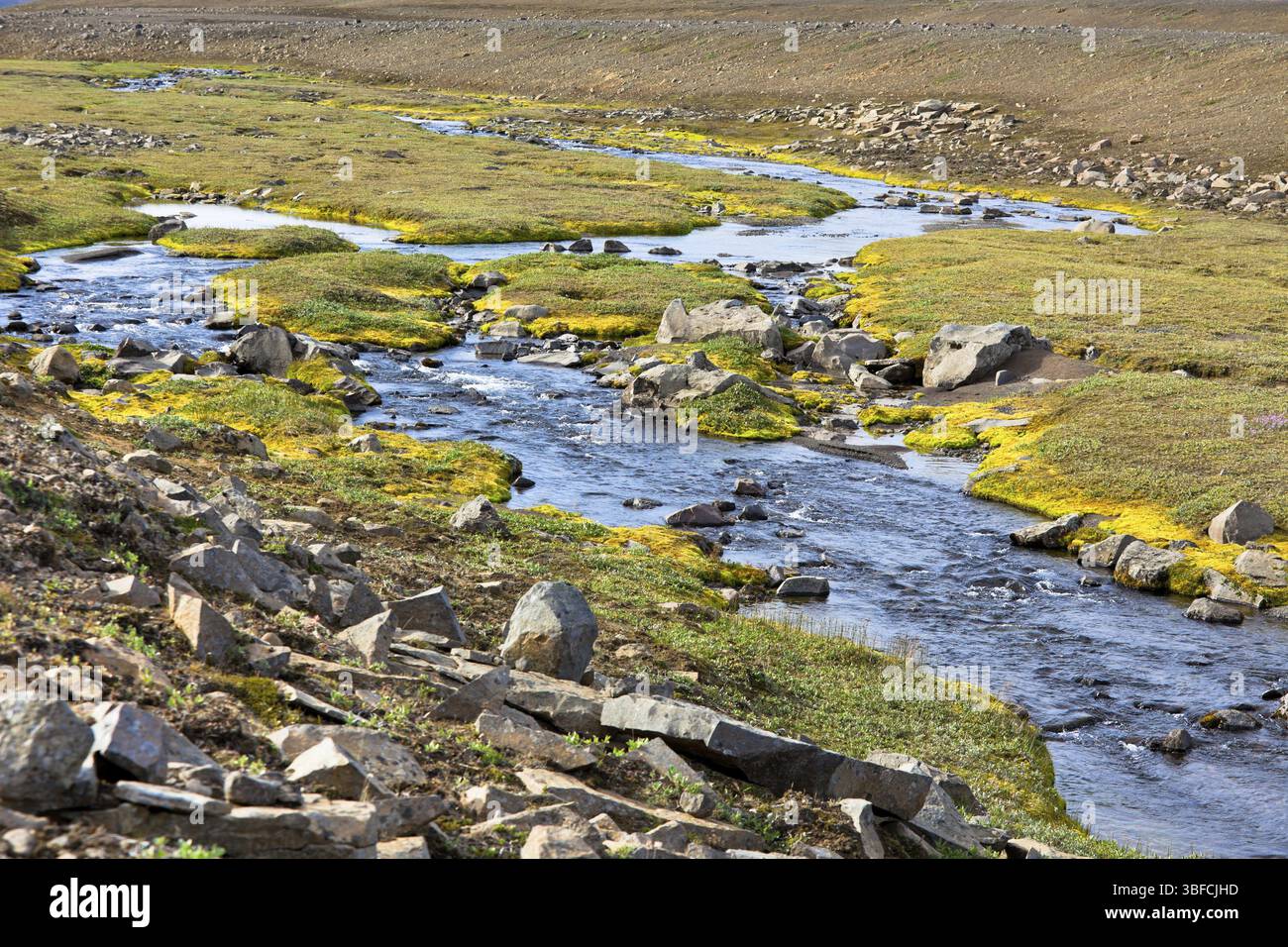 Summer Island Landschaft mit kleinen Winding River Stream. Horizontalen Schuss Stockfoto