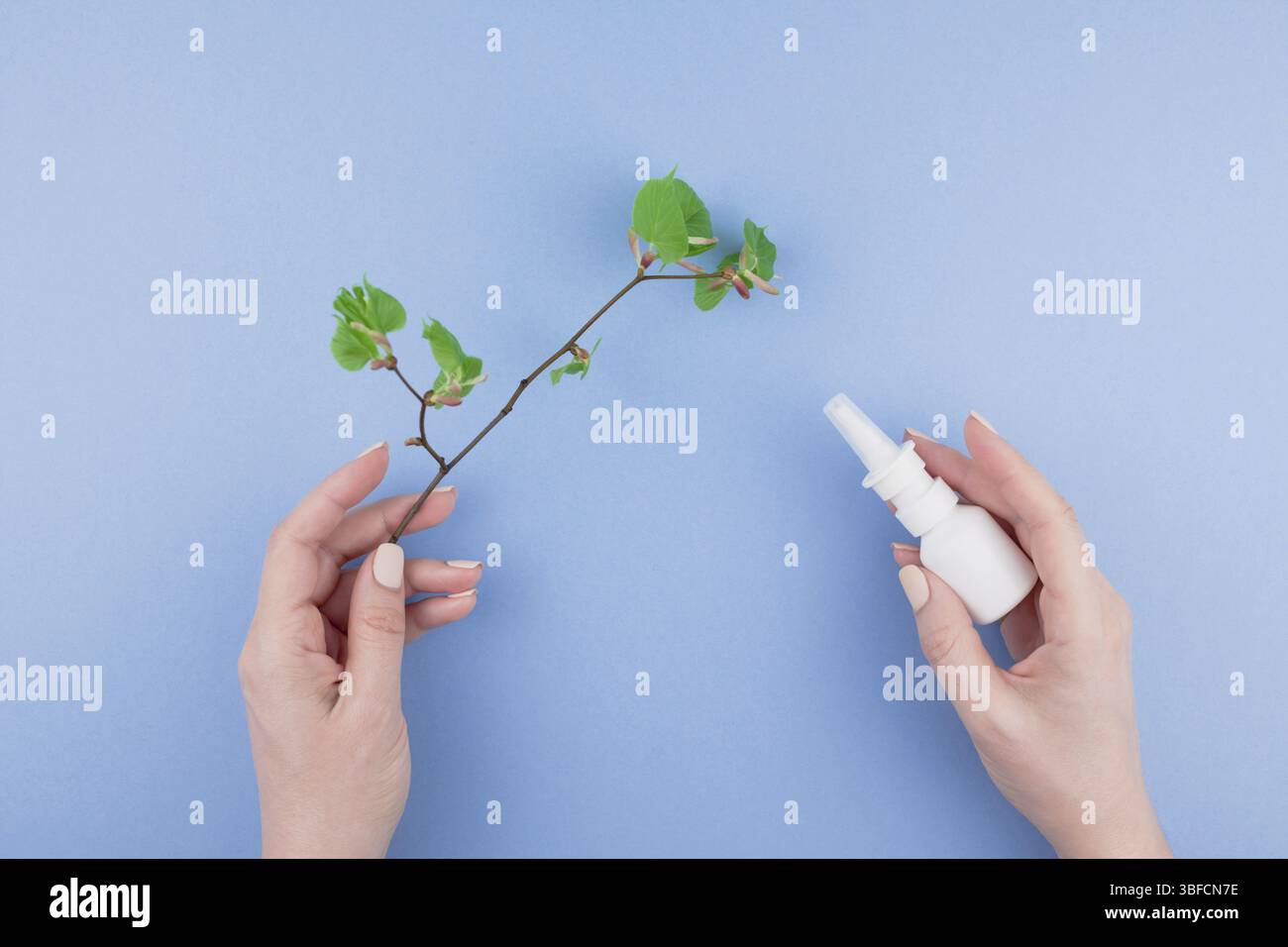 Kreative flach Konzept der saisonale Frühling Pollenallergie mit Tropfen in einer Flasche in weiblicher Hand und frische grüne Sprossen mit Knospen mit Kopie Raum Stockfoto