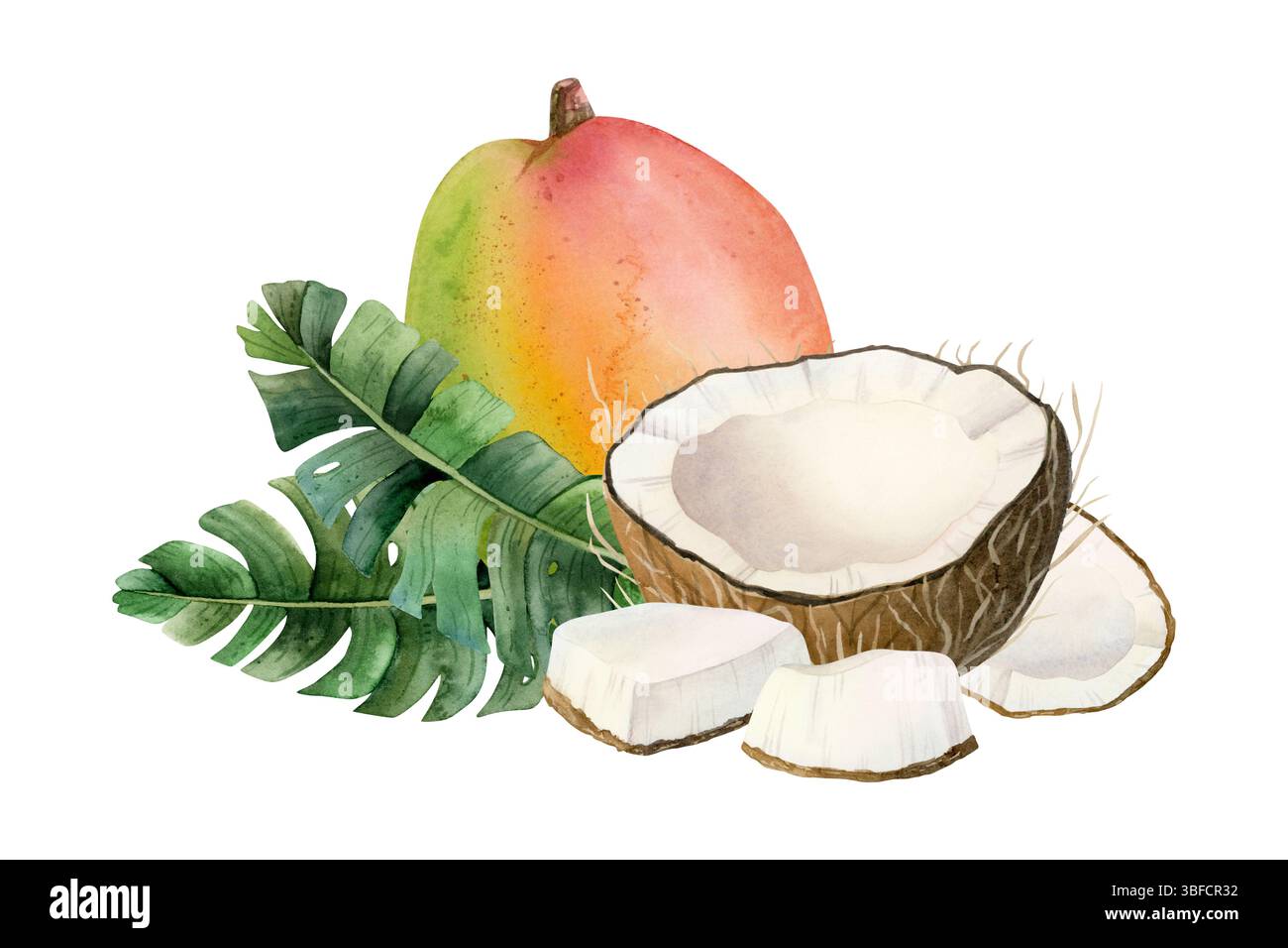 Sommer Mangobrüchte und Kokosnüsse mit tropischen Blättern Aquarellillustration isoliert auf weißem Hintergrund. Exotische Naturkost für Sommermotive Stockfoto