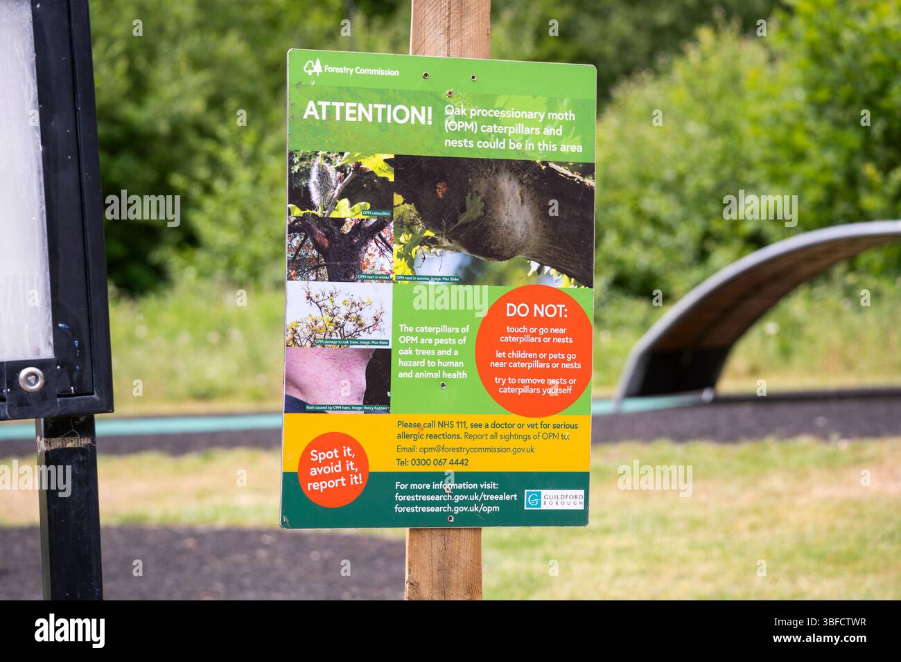 Warnung für Eiche Prozessionär Moth Raupen, ein Eichenbaumschädling mit Haaren, die gesundheitliche Risiken für den Menschen verursachen. Lake Side Nature Reserve, Aldershot, Großbritannien Stockfoto