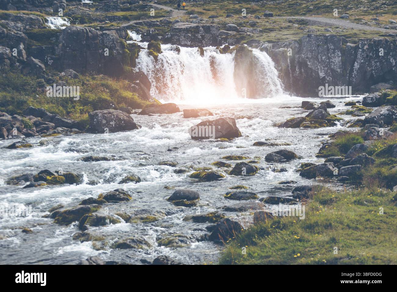 Sommer Island Landschaft mit einem wunderschönen Wasserfall Stockfoto