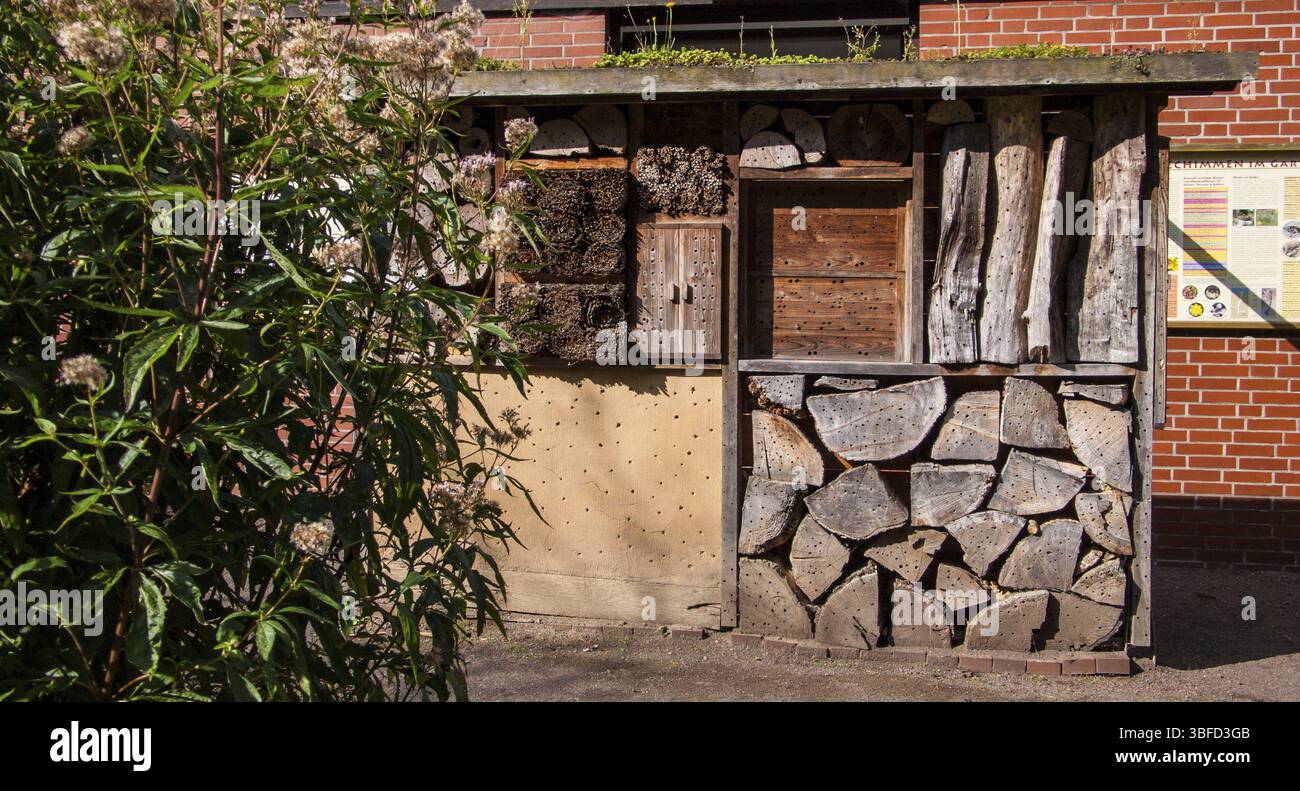 SOZIALWOHNUNGEN FÜR INSEKTEN Stockfoto