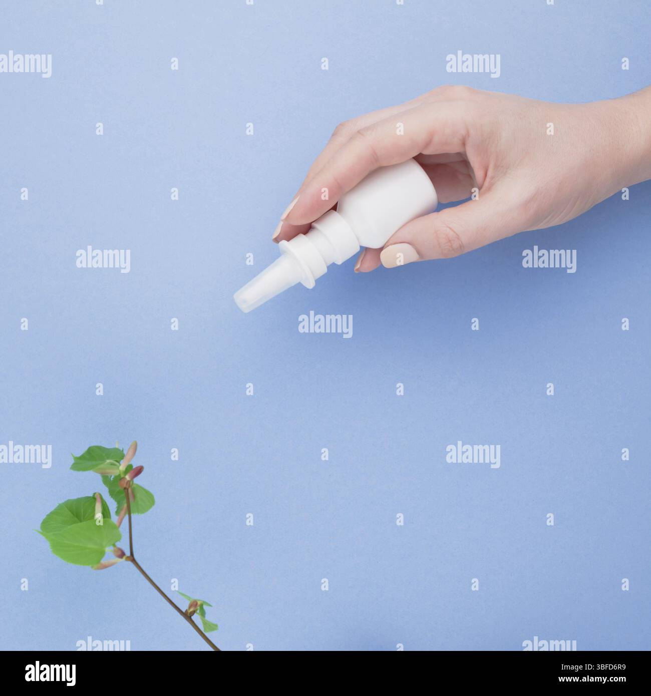 Kreative flach Konzept der saisonale Frühling Pollenallergie mit Tropfen in einer Flasche in eine weibliche Hände und frisches Grün sprießt mit Knospen mit quadratischen Cop Stockfoto