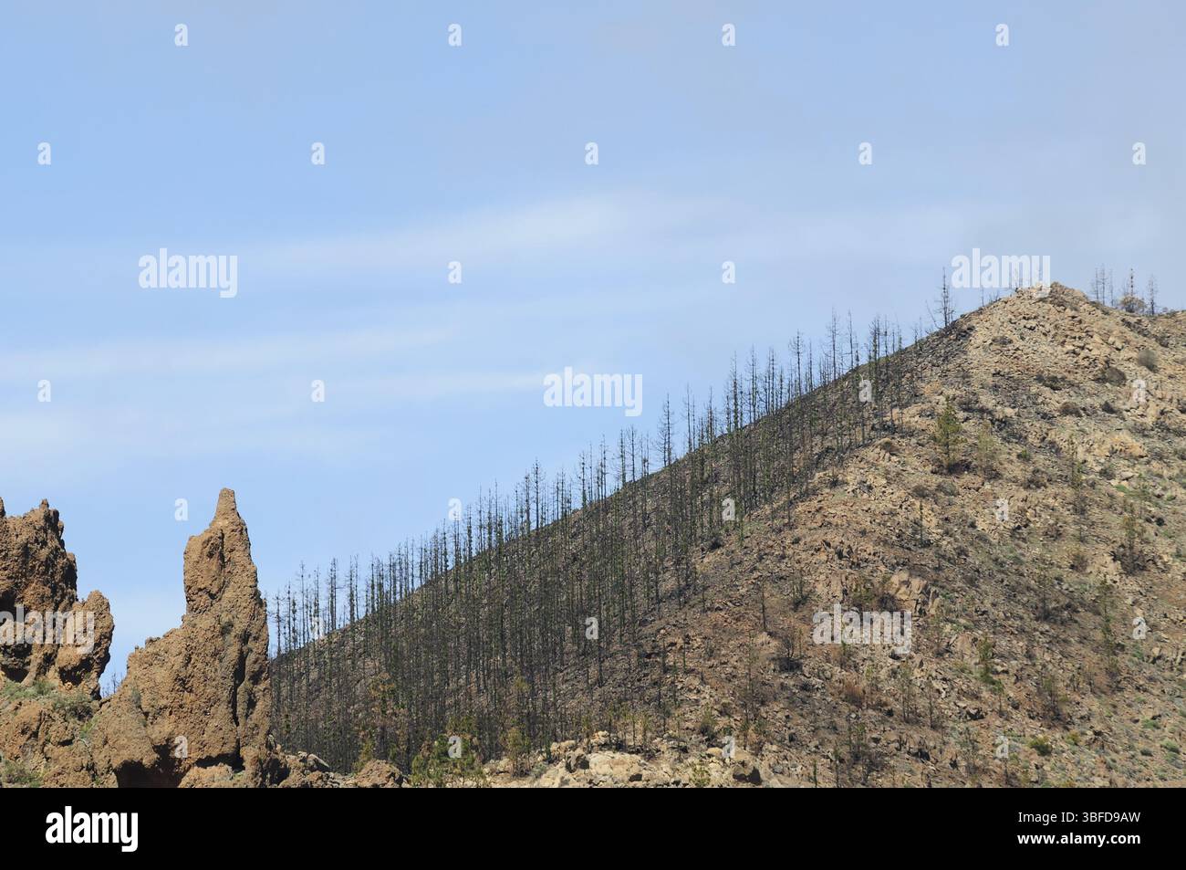 Teneriffa (teneriffa) Stockfoto