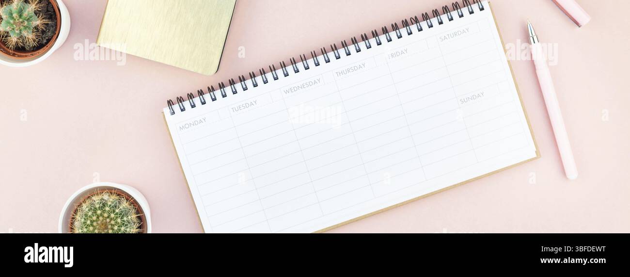 Lange breite Fahne von Arbeitsbereich Schreibtisch gestalteten Design Büromaterial und Kakteen Sukkulenten mit Kopie Raum tausendjährigen rosa Farbe Papier Hintergrund minima Stockfoto