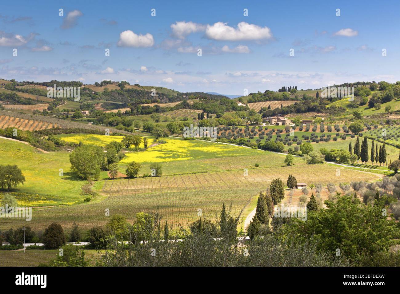 Outdoor-toskanischen Hügel-Landschaft. Horizontale helle Schuss Stockfoto