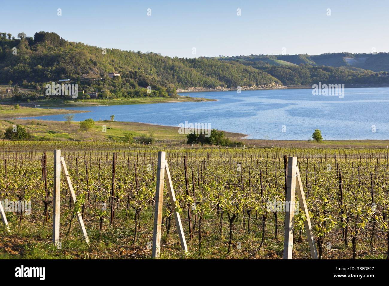 Italienische Landschaft mit Weinbergen und See bei Sonnenuntergang. Horizontalen Schuss Stockfoto