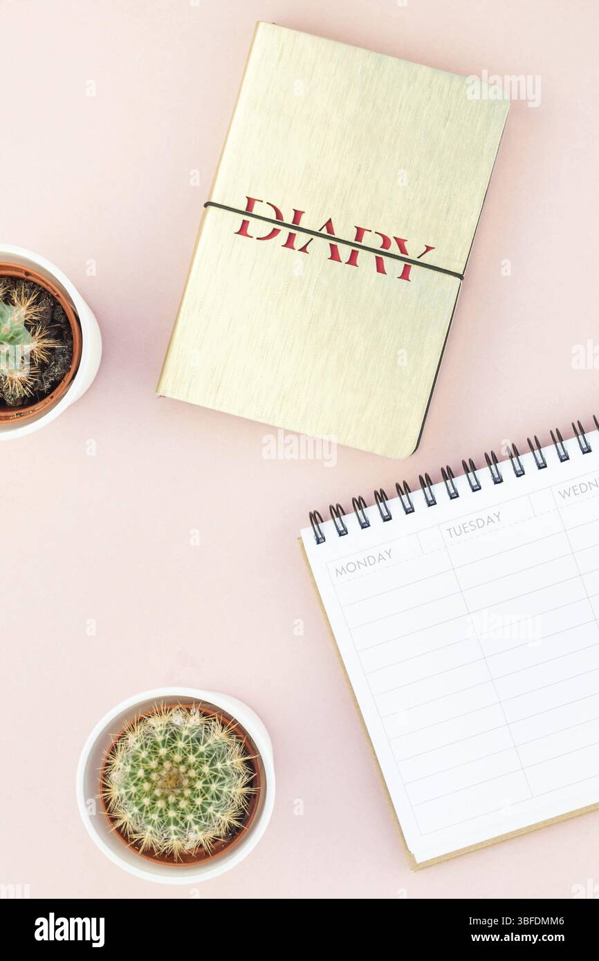 Ansicht von oben flach von Arbeitsbereich Schreibtisch gestalteten Design Büromaterial und Kakteen Sukkulenten mit Kopie Raum tausendjährigen rosa Farbe Papier Hintergrund minderen Stockfoto