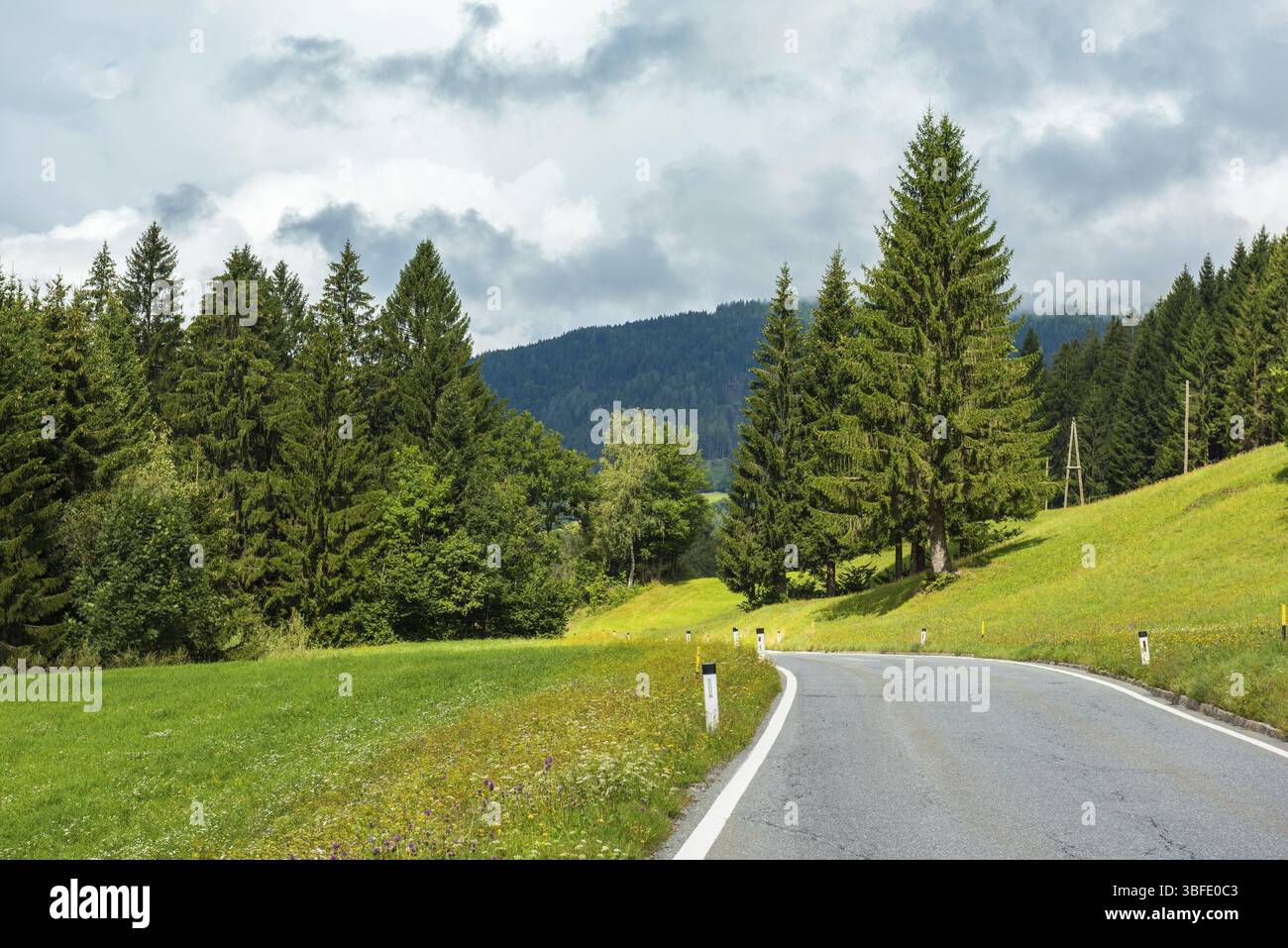 Kurvenreiche Straße Durch Den Sommerwald. Horizontale Aufnahme Stockfoto