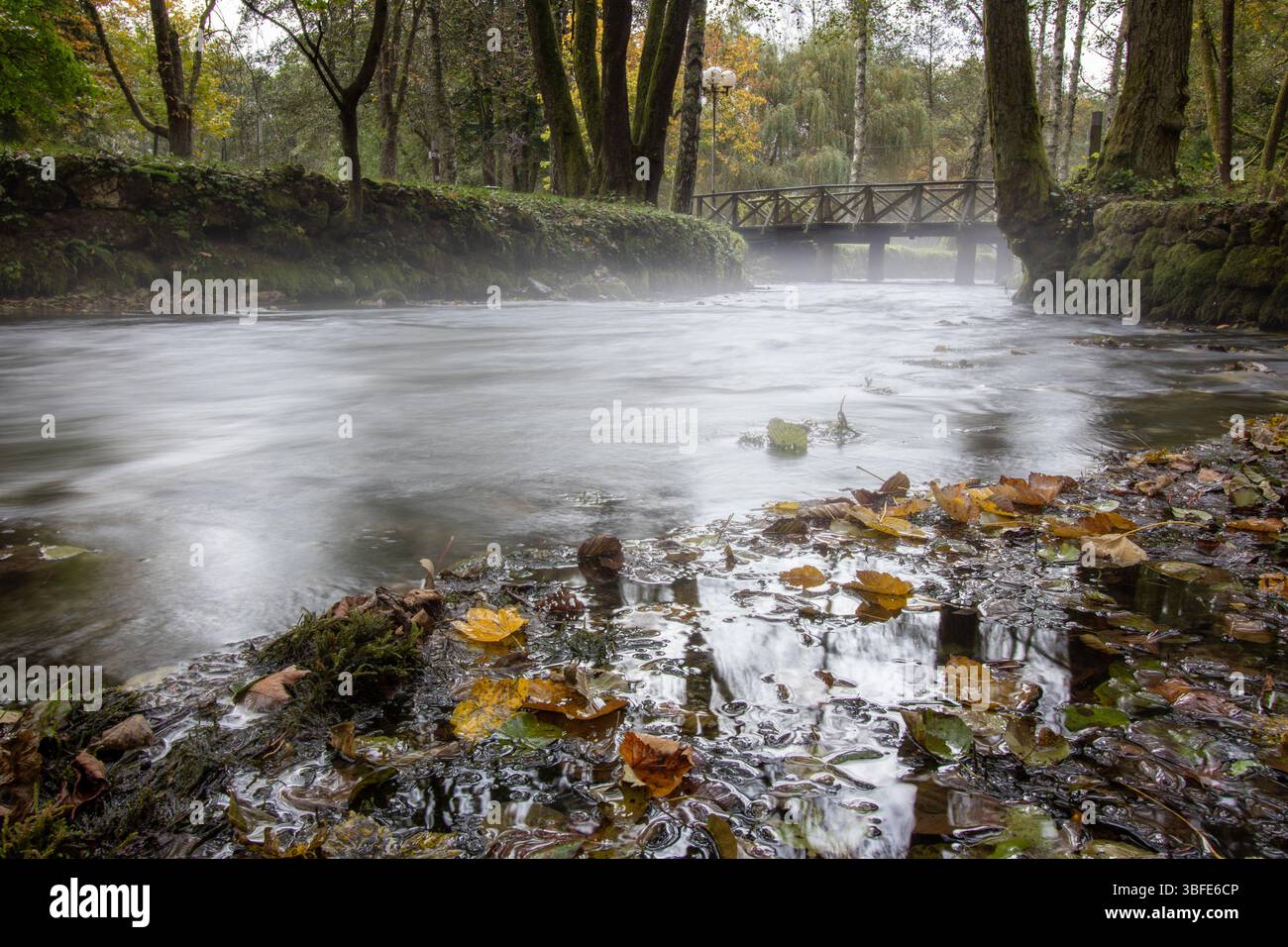 Quelle des Flusses Bosna, Sarajevo-Ilidza. An einem kühlen Morgen schwebt ätherischer Nebel über dem ruhigen Fluss, umgeben von grünen Bäumen. Malerisch Stockfoto