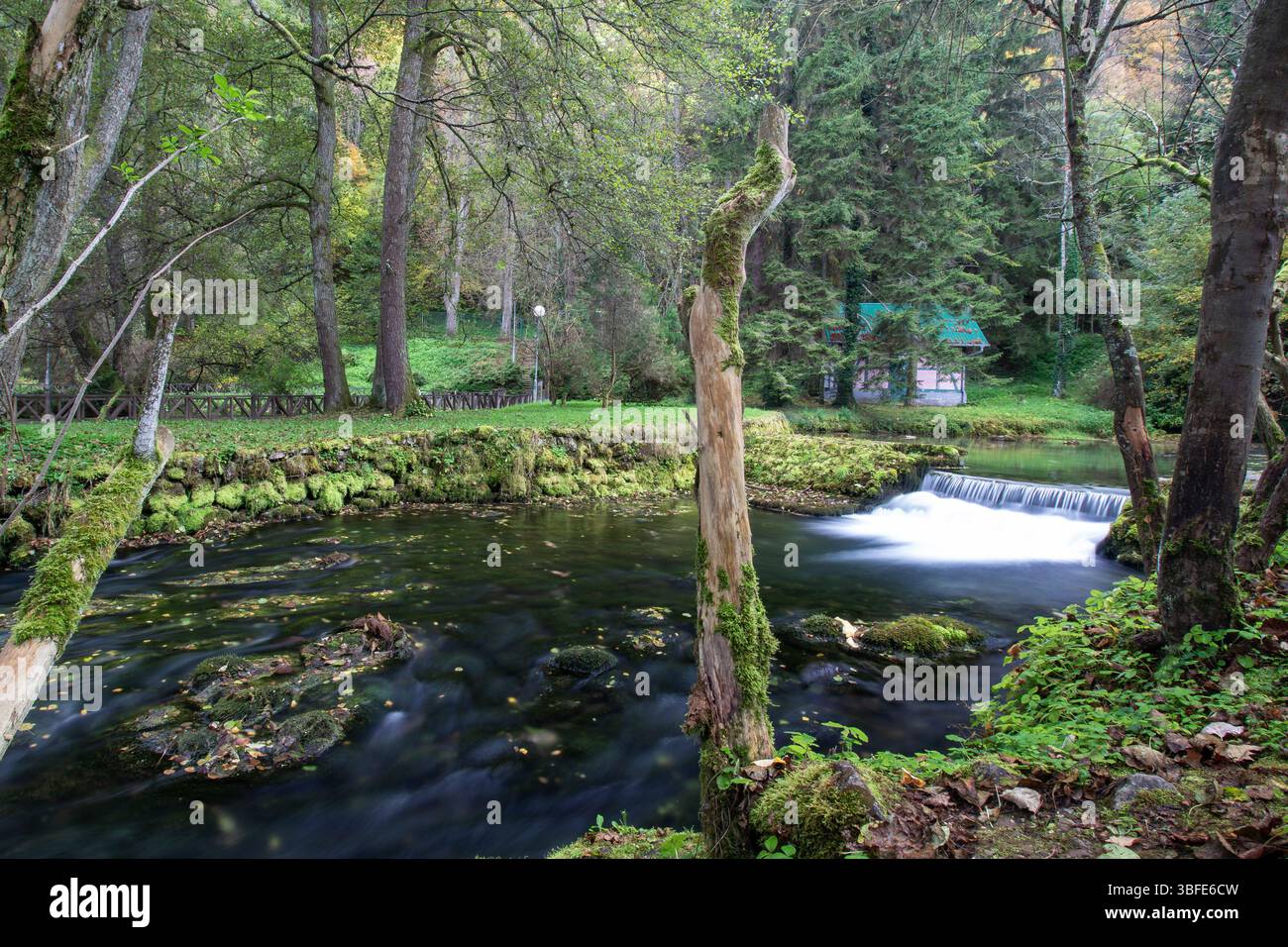 Quelle des Flusses Bosna, Sarajevo-Ilidza. Ein ruhiger Waldbach schlängelt sich an einer rustikalen Hütte in üppigem Grün vorbei und schafft eine friedliche Atmosphäre Stockfoto