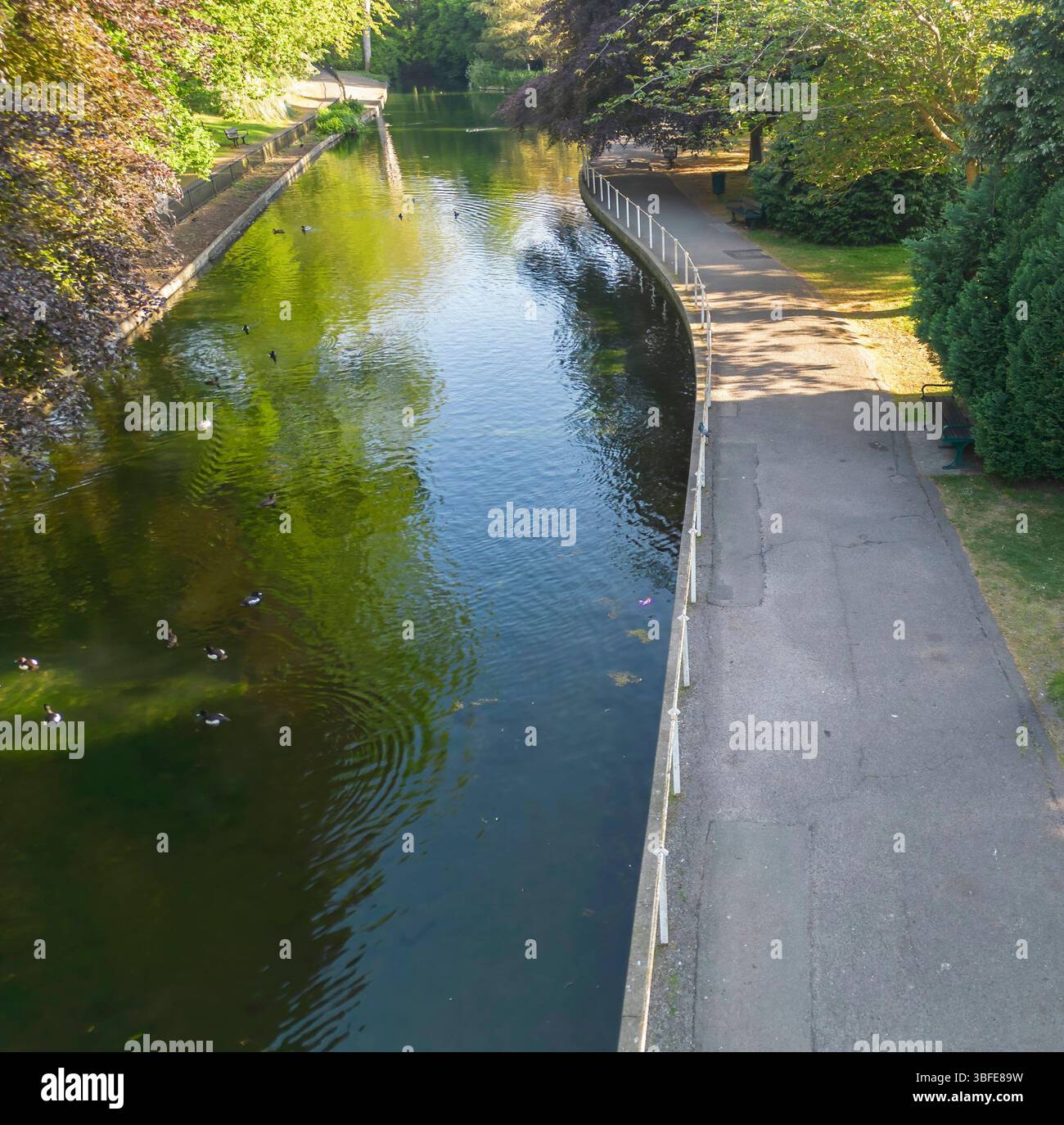 Aus der Vogelperspektive der Carshalton Teiche, gespeist von einer natürlichen Quelle, im Zentrum des alten Carshalton im londoner Stadtteil sutton Stockfoto