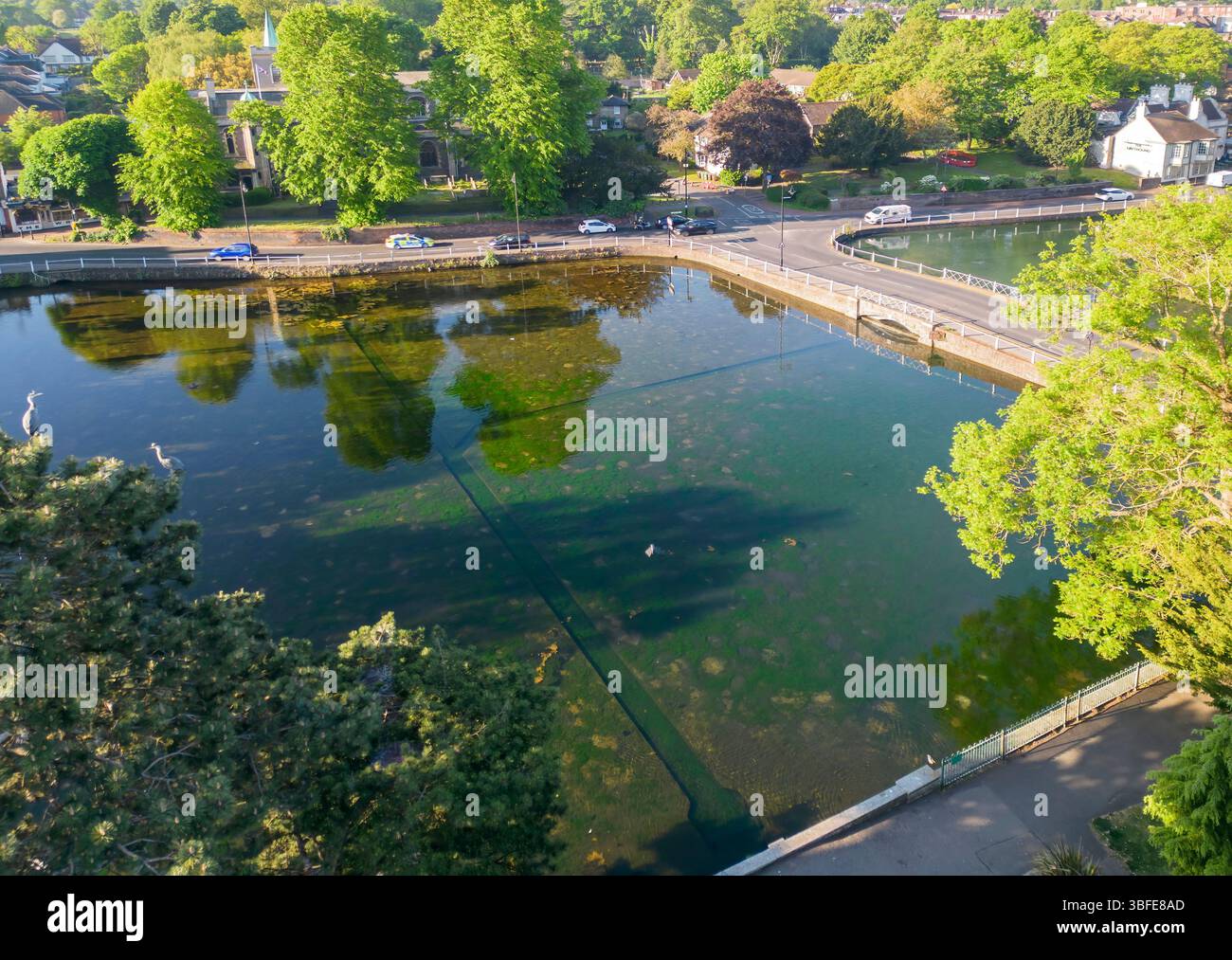 Aus der Vogelperspektive der Carshalton-Teiche, die von einer natürlichen Quelle gespeist werden, im Zentrum des alten Carshalton im londoner Stadtteil sutton Stockfoto