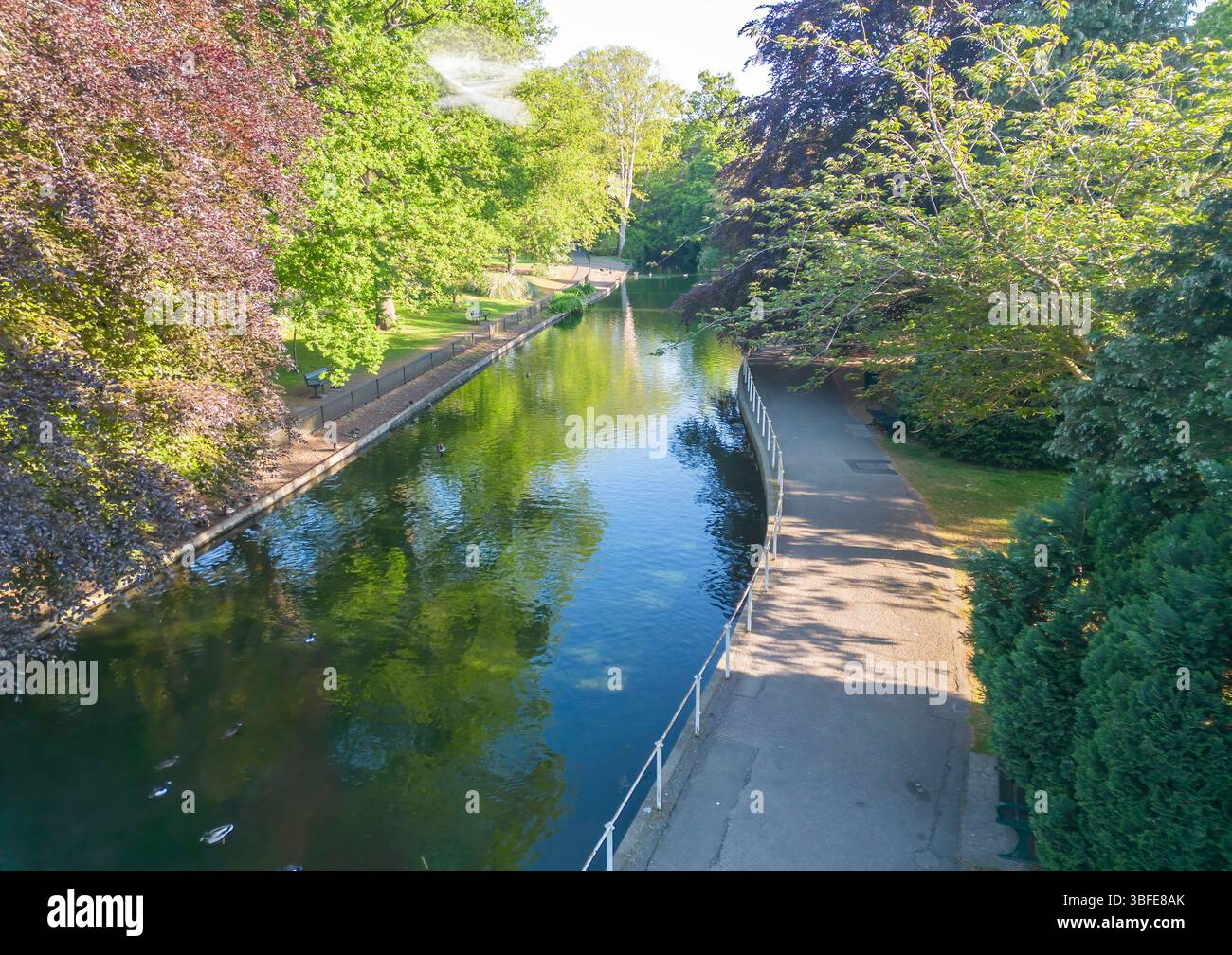 Aus der Vogelperspektive der Carshalton-Teiche, die von einer natürlichen Quelle gespeist werden, im Zentrum des alten Carshalton im londoner Stadtteil sutton Stockfoto