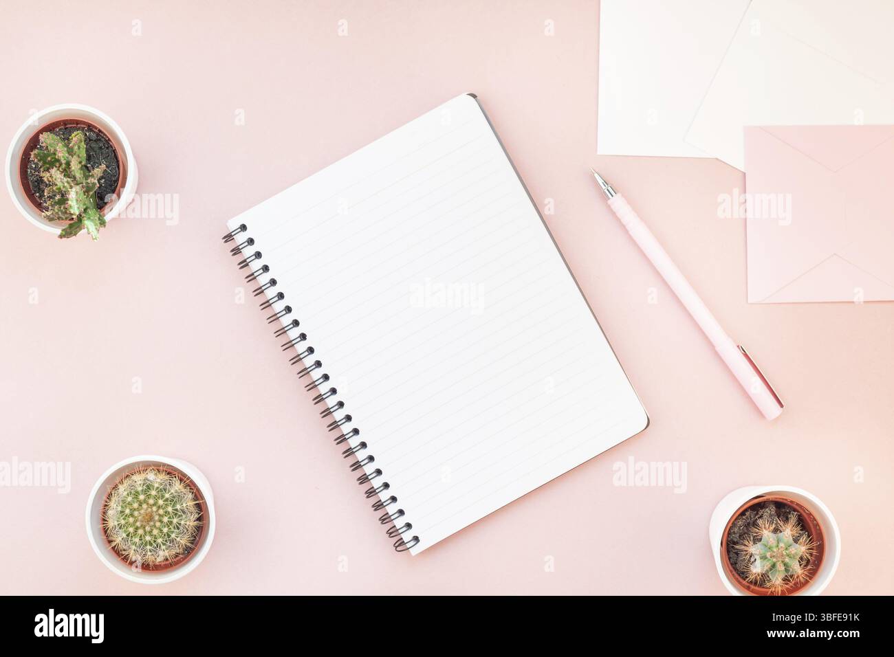 Ansicht von oben flach von Arbeitsbereich Schreibtisch gestalteten Design Büromaterial und Kakteen Sukkulenten mit Kopie Raum tausendjährigen rosa Farbe Papier Hintergrund minderen Stockfoto