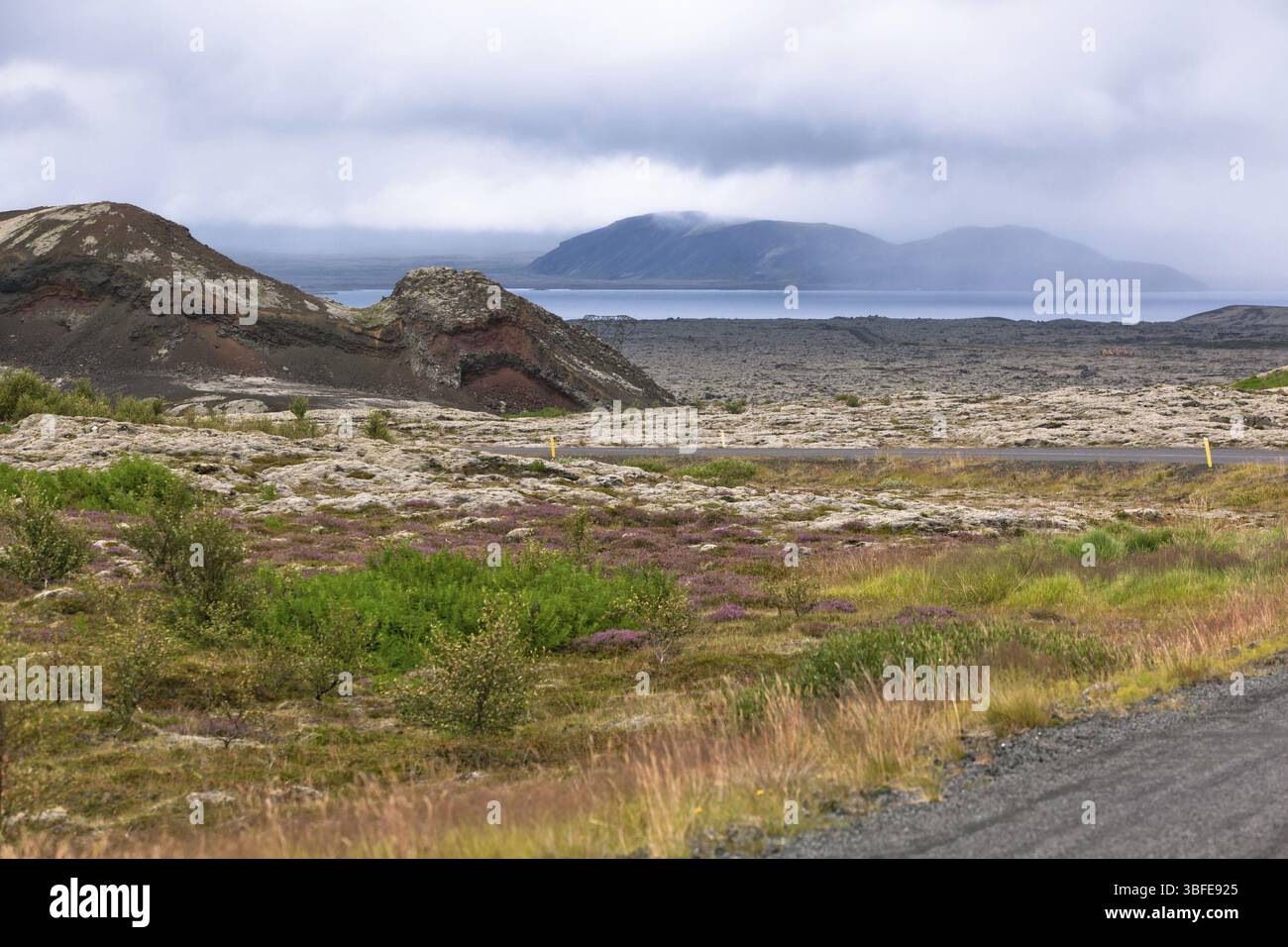 Island-Natur im Sommer. Horizontalen Schuss Stockfoto