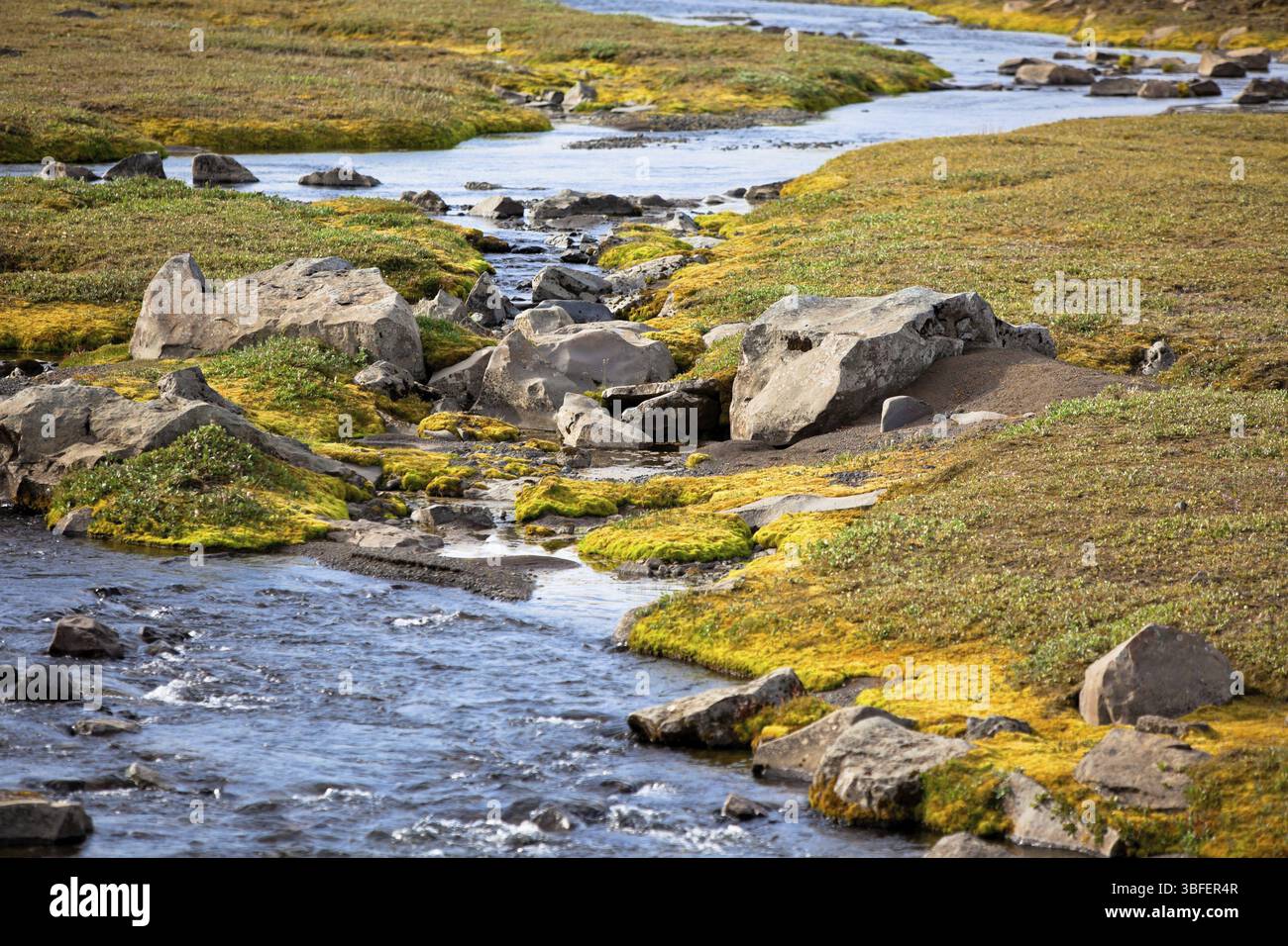 Summer Island Landschaft mit kleinen Fluss Strom. Horizontalen Schuss Stockfoto